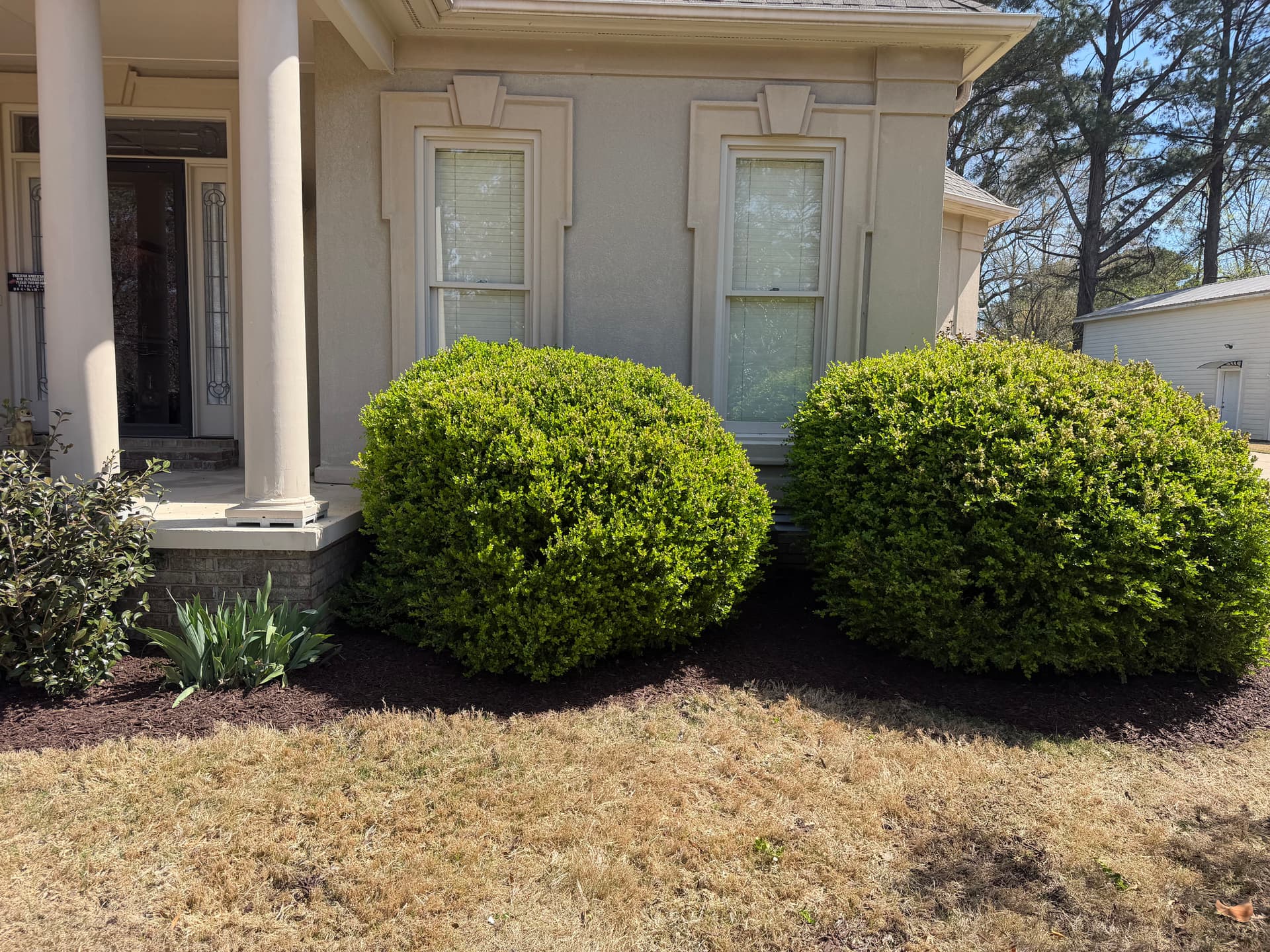 Gallery photos for Landscape Clean Up with Mulch Installation in Humboldt: Image #5