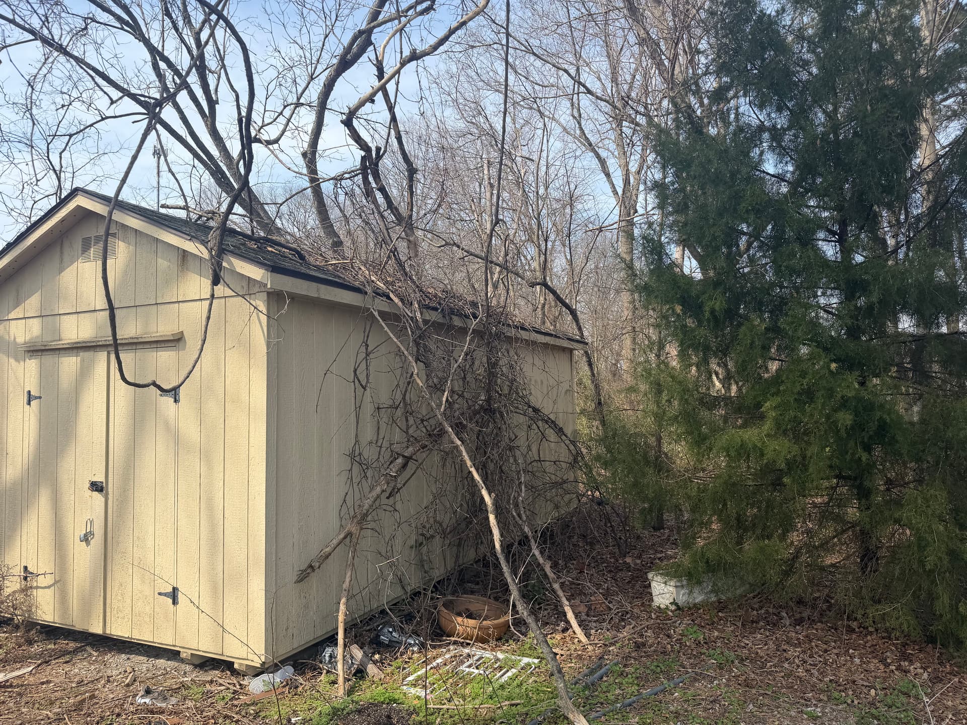 Comprehensive Cleanup at Dr. Melton Family Dentistry