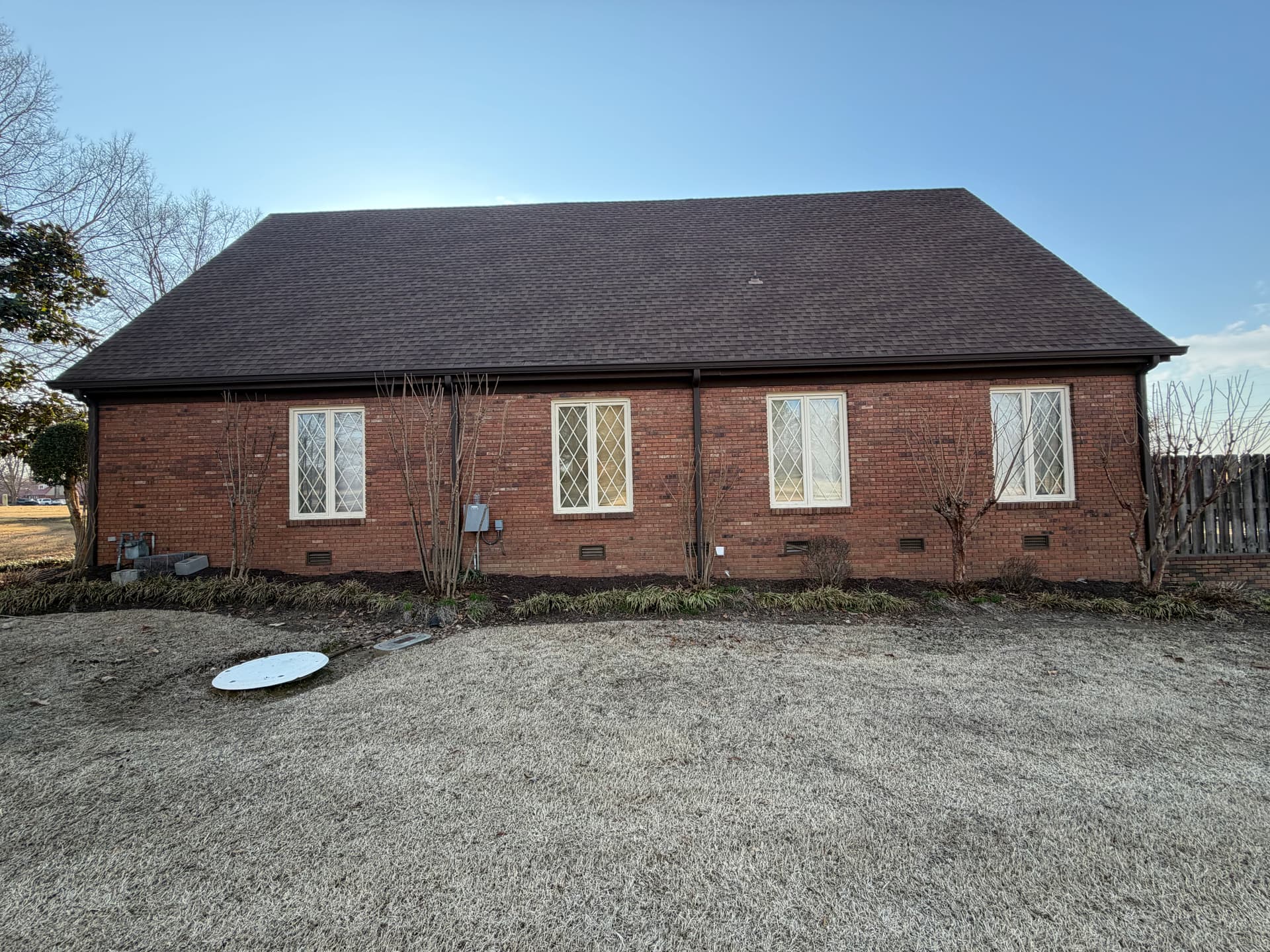 Precision Crepe Myrtle Trimming for a Pristine Look
