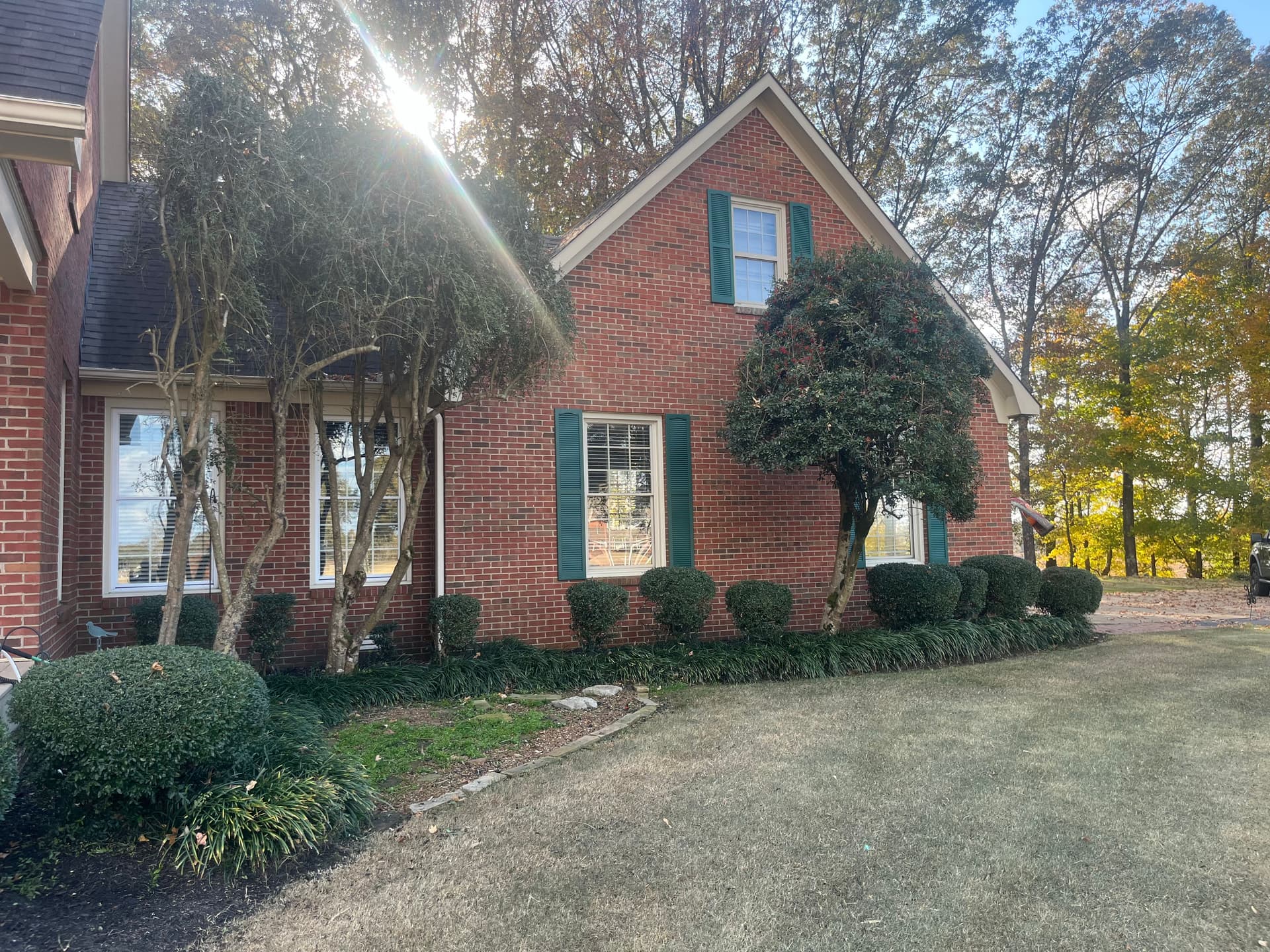 Revamping Curb Appeal with Expert Trimming and Landscape Design