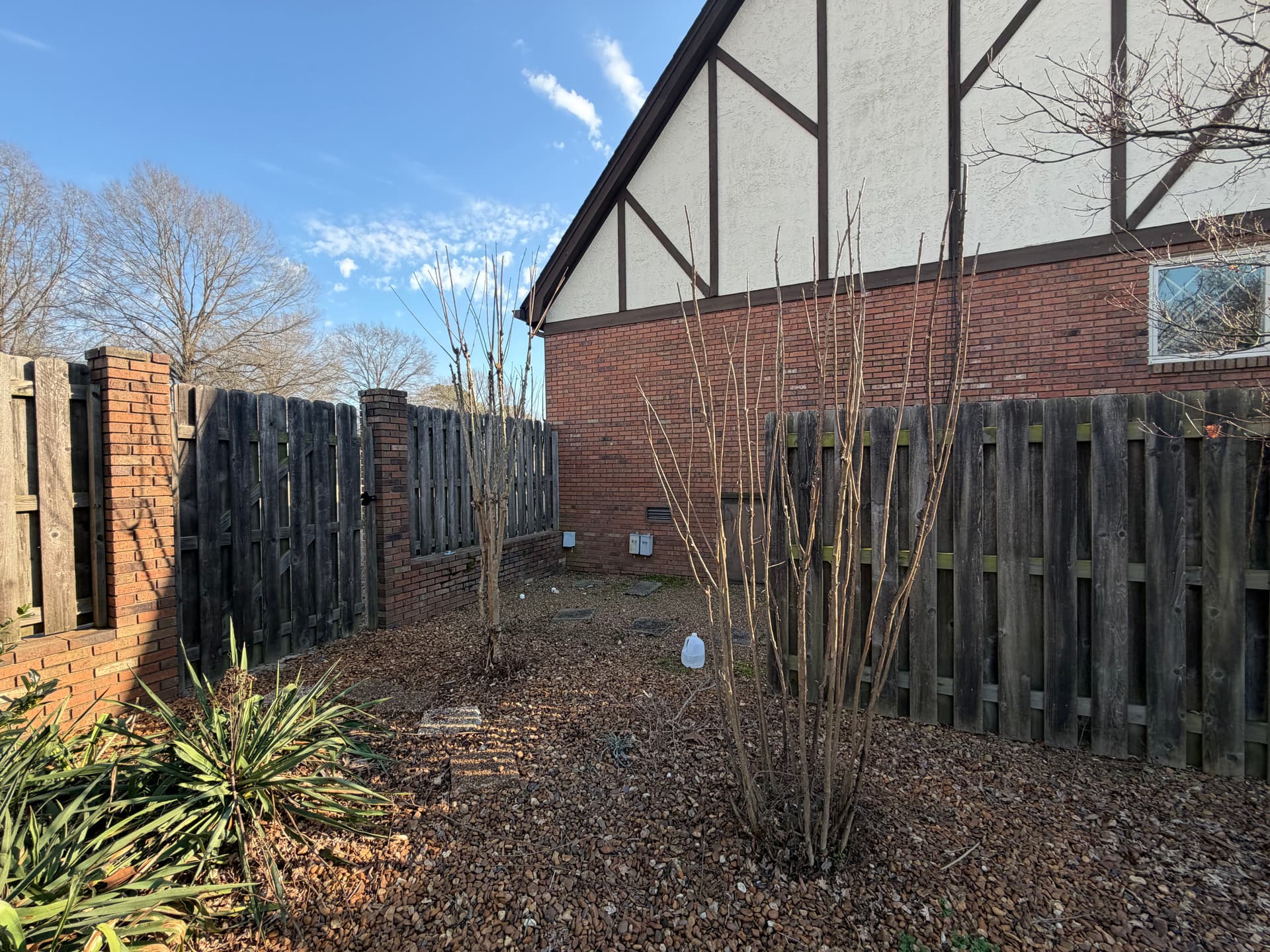 Precision Crepe Myrtle Trimming for a Pristine Look