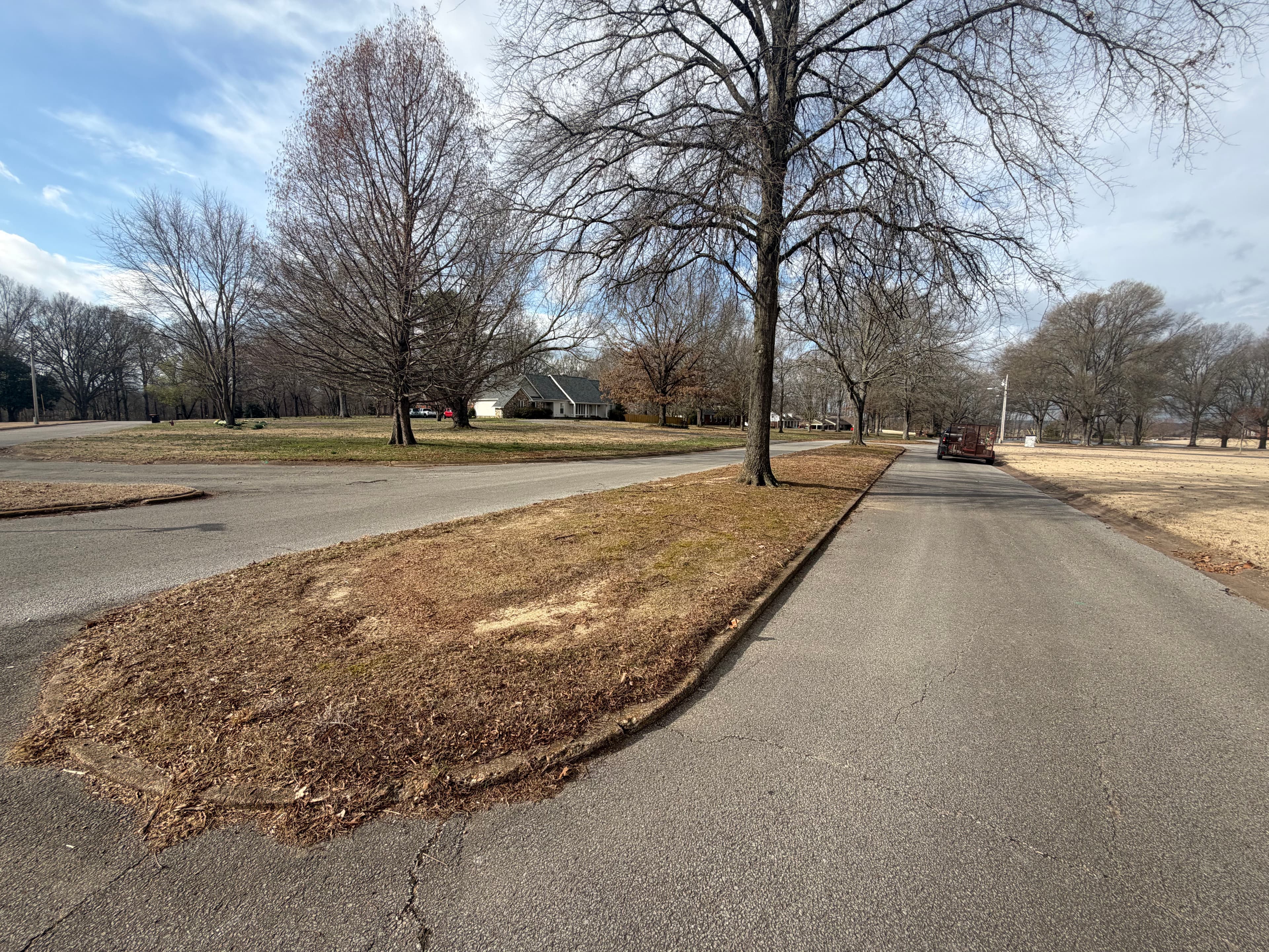Project Landscape Makeover in Forked Oak Subdivision image