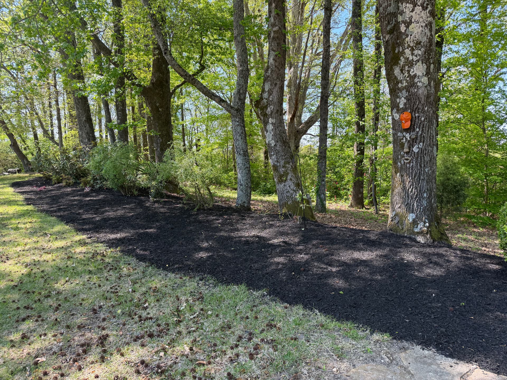 Gallery photos for Fresh Black Mulch Install That Ties the Whole Yard Together: Image #7