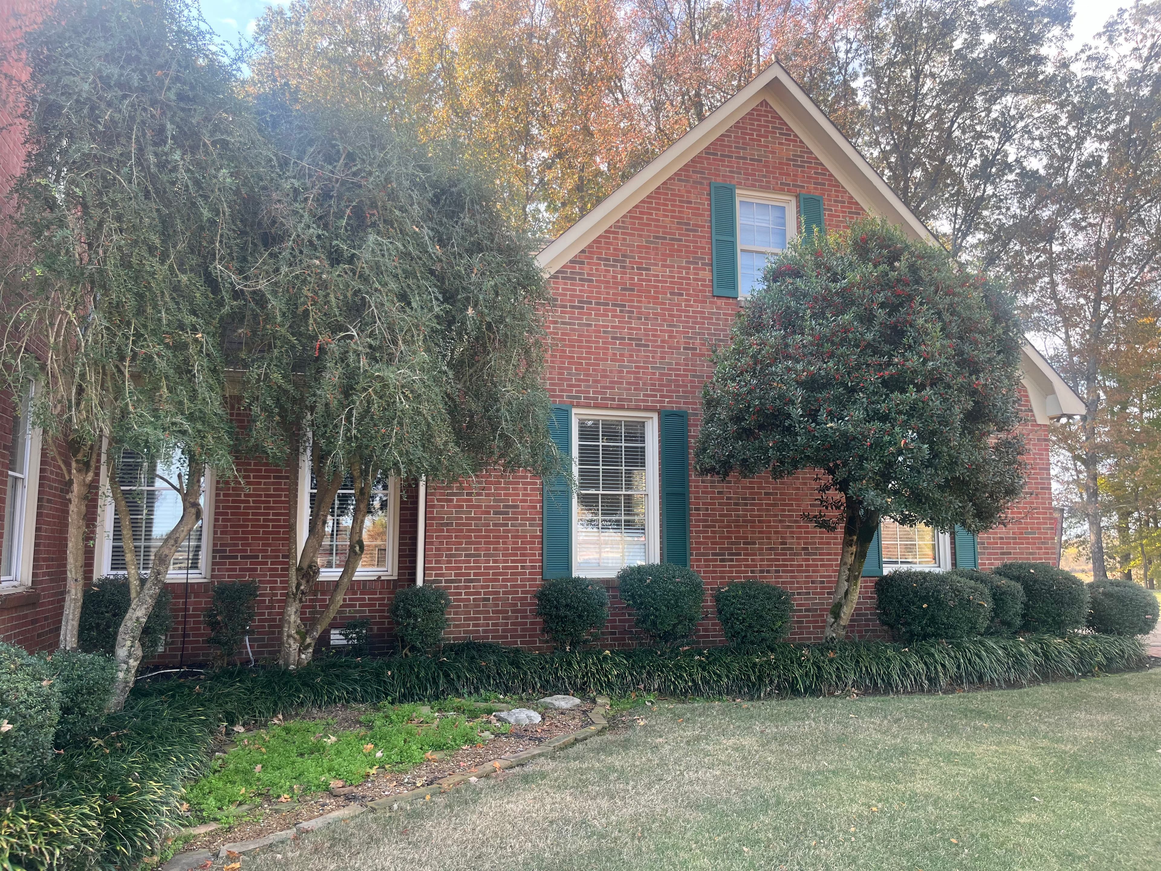 Project Revamping Curb Appeal with Expert Trimming and Landscape Design image