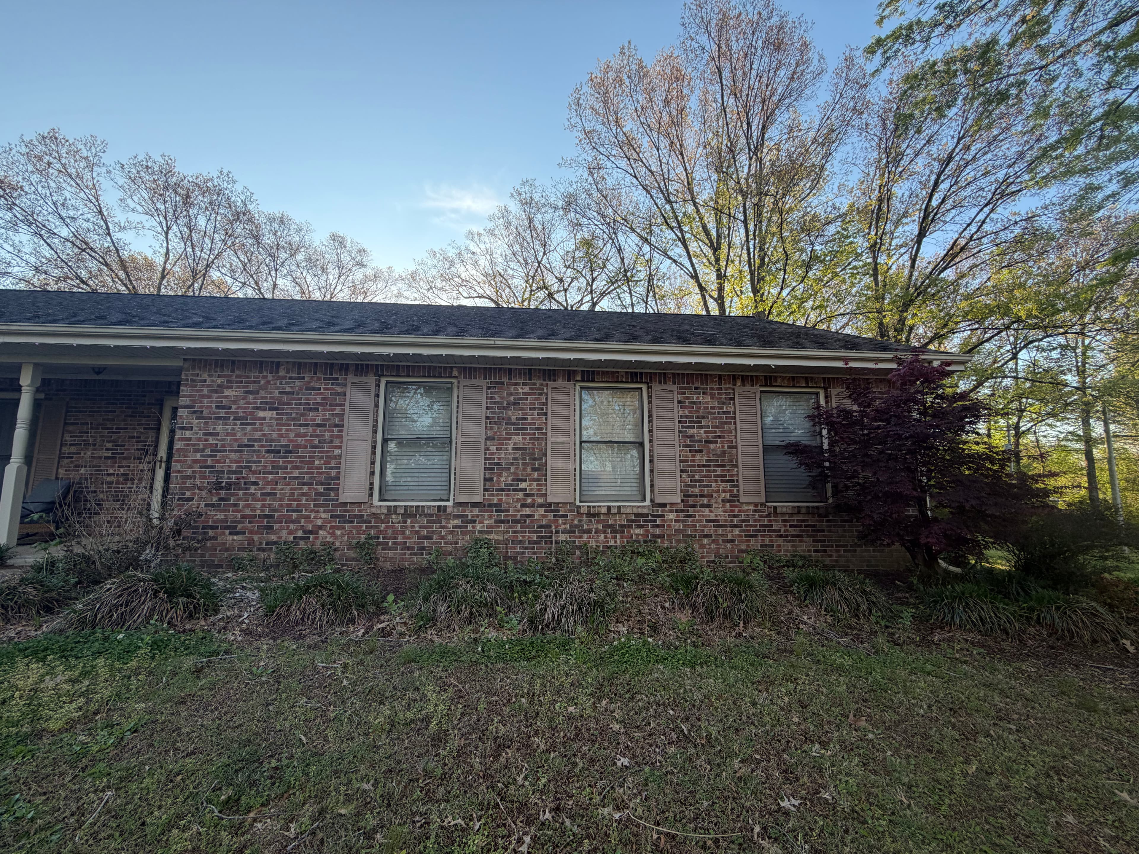 Project Flower Bed Clean Up and Fresh Black Mulch in Trenton image