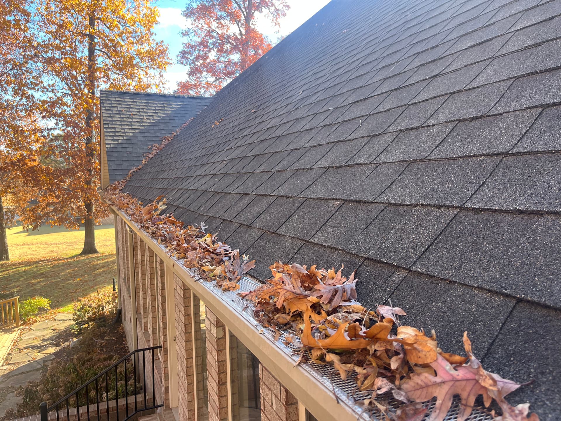 Gallery photos for Comprehensive Fall Cleanup for a Leaf-Free Yard: Image #8