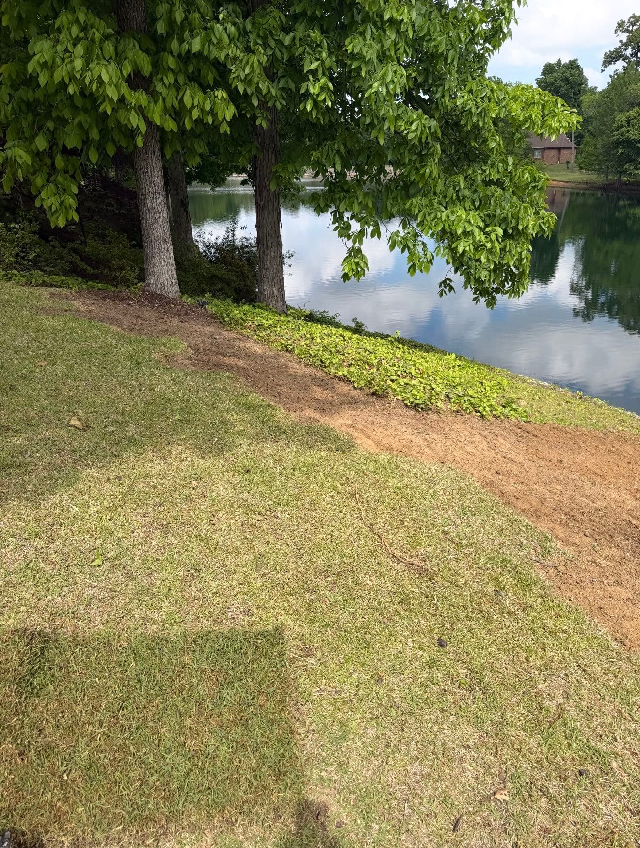 Gallery photos for Bare Ground to Green Backyard with Palisade Zoysia Sod: Image #5