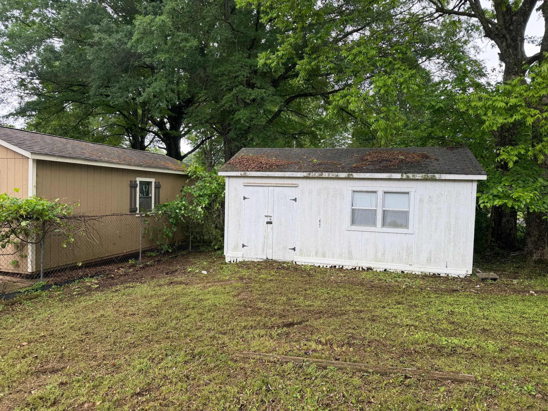 Gallery photos for Rental Property Landscape Cleanup in Milan: Image #8