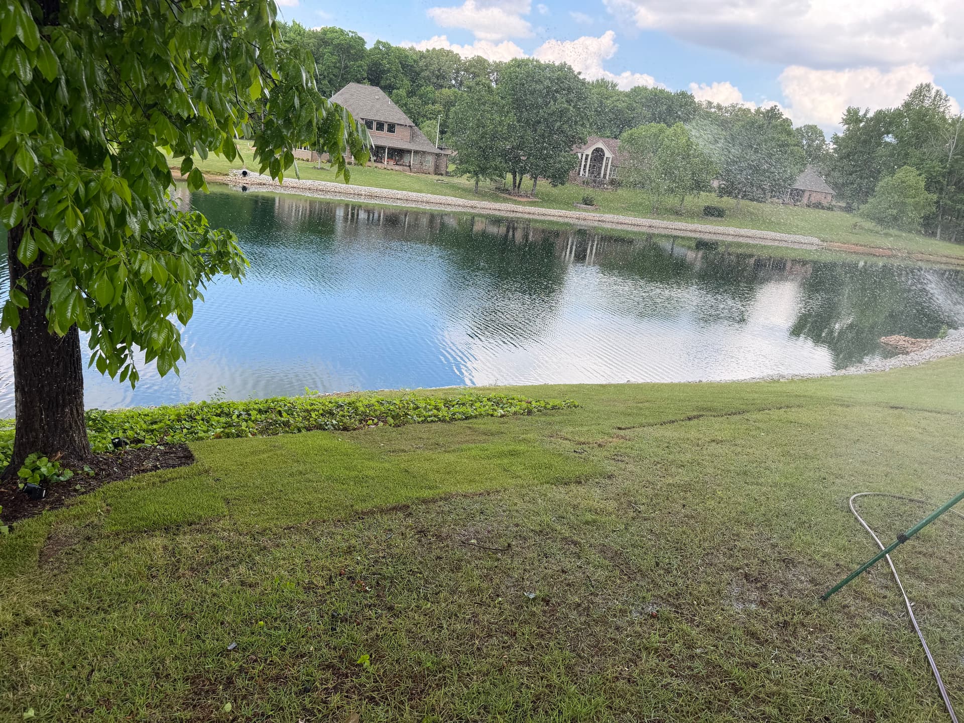 Gallery photos for Bare Ground to Green Backyard with Palisade Zoysia Sod: Image #7