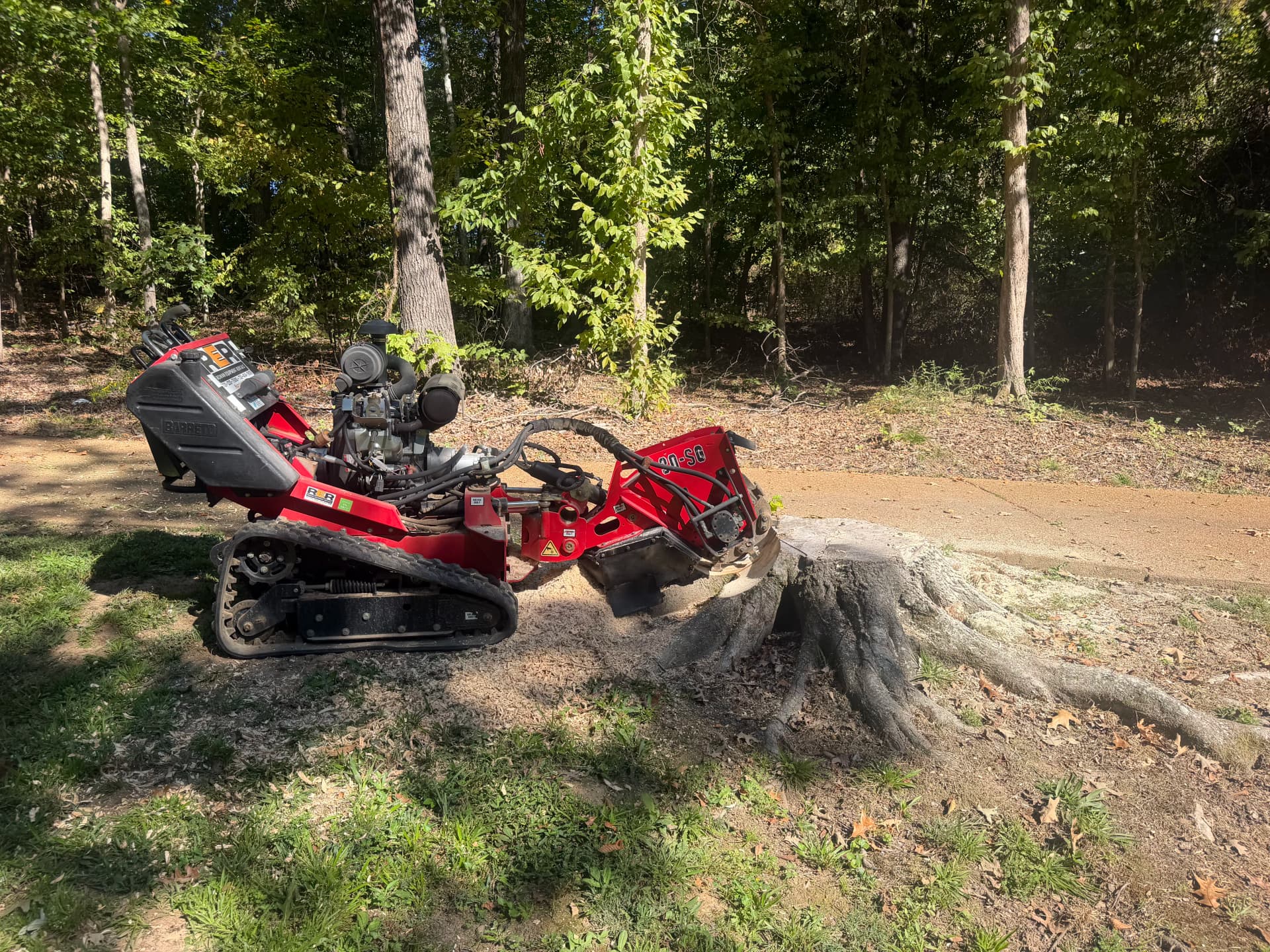 We Now Offer Stump Grinding - Here's What That Means for Your Yard image