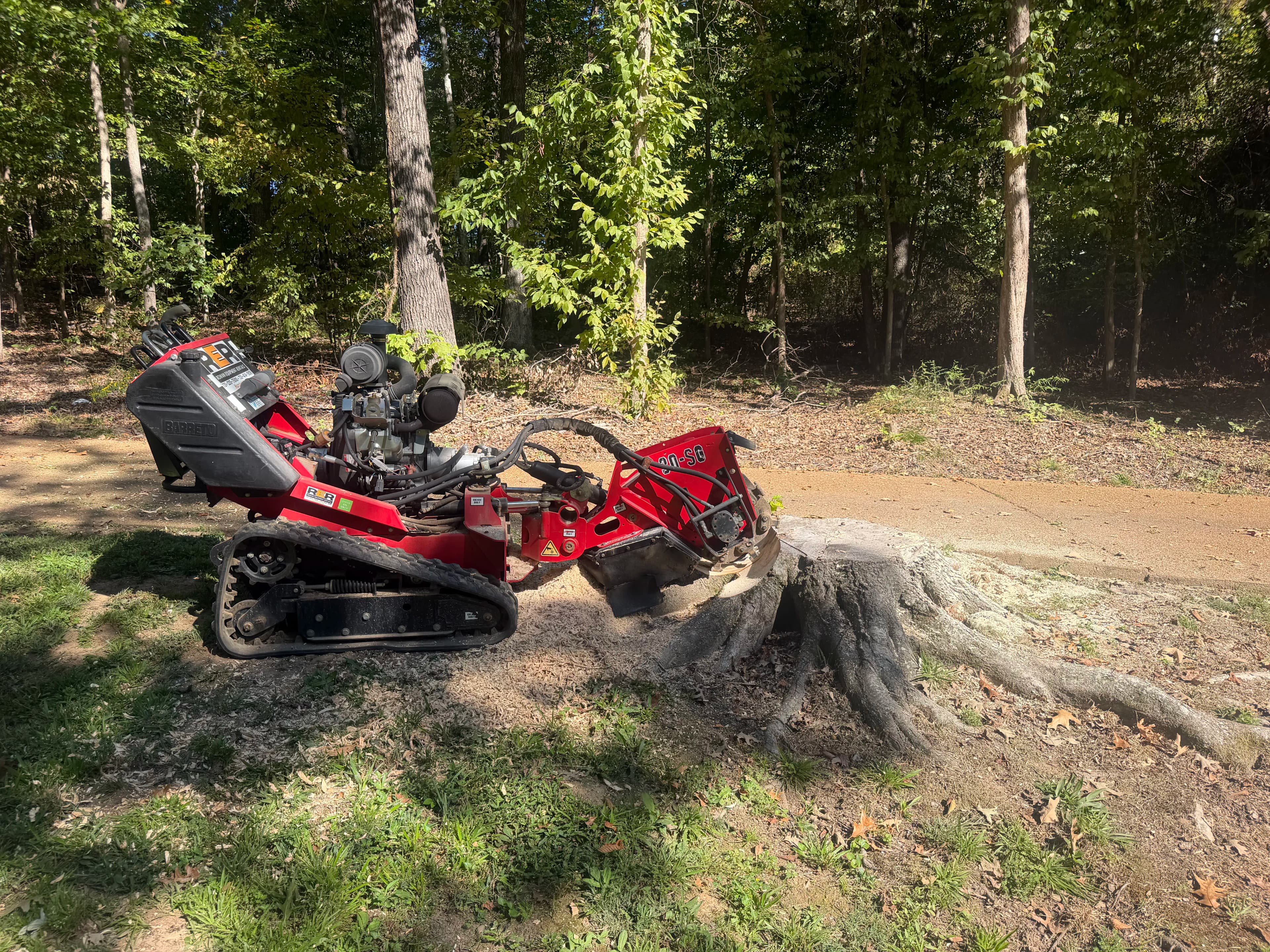 Project We Now Offer Stump Grinding - Here's What That Means for Your Yard image
