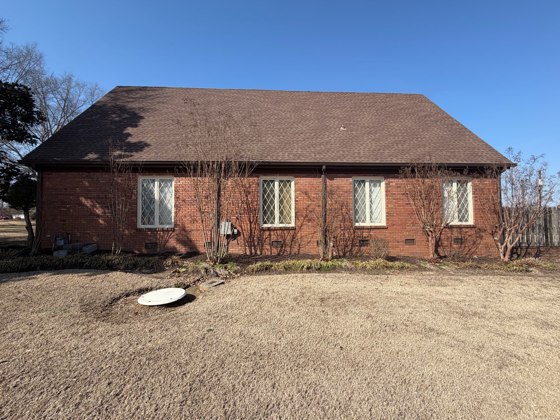 Precision Crepe Myrtle Trimming for a Pristine Look