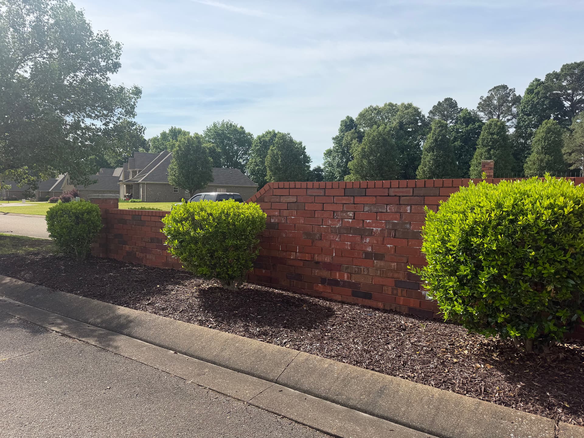 Gallery photos for Shrub Trimming and Landscape Cleanup at Forest Lake Subdivision in Humboldt: Image #5