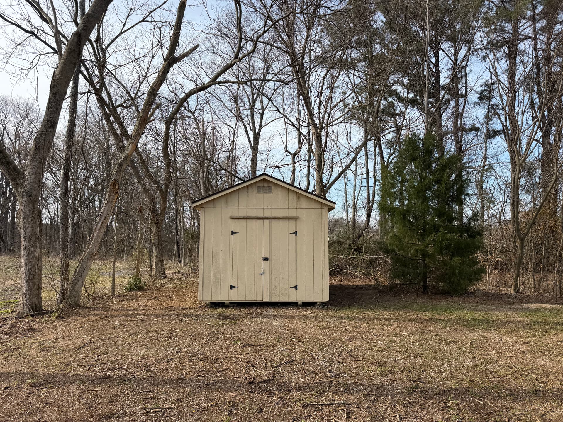 Comprehensive Cleanup at Dr. Melton Family Dentistry