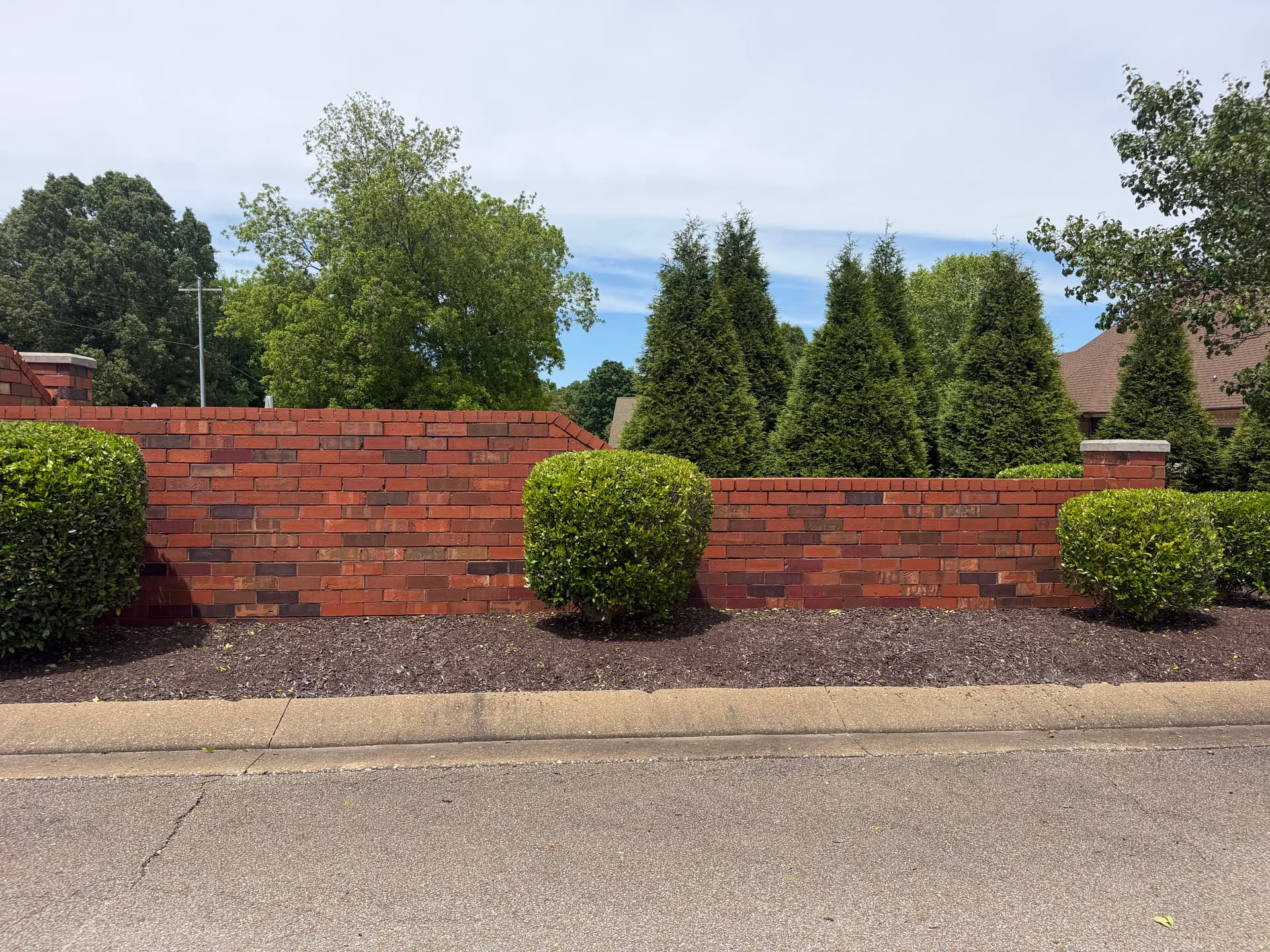 Gallery photos for Shrub Trimming and Landscape Cleanup at Forest Lake Subdivision in Humboldt: Image #8