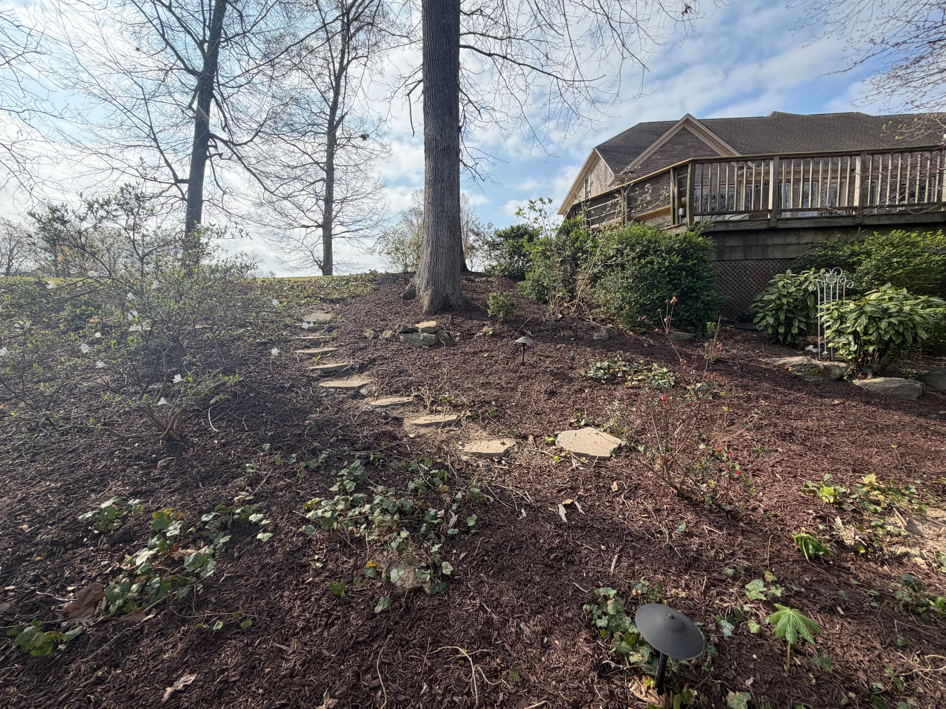 Gallery photos for Backyard Makeover at Forest Lake: Image #5