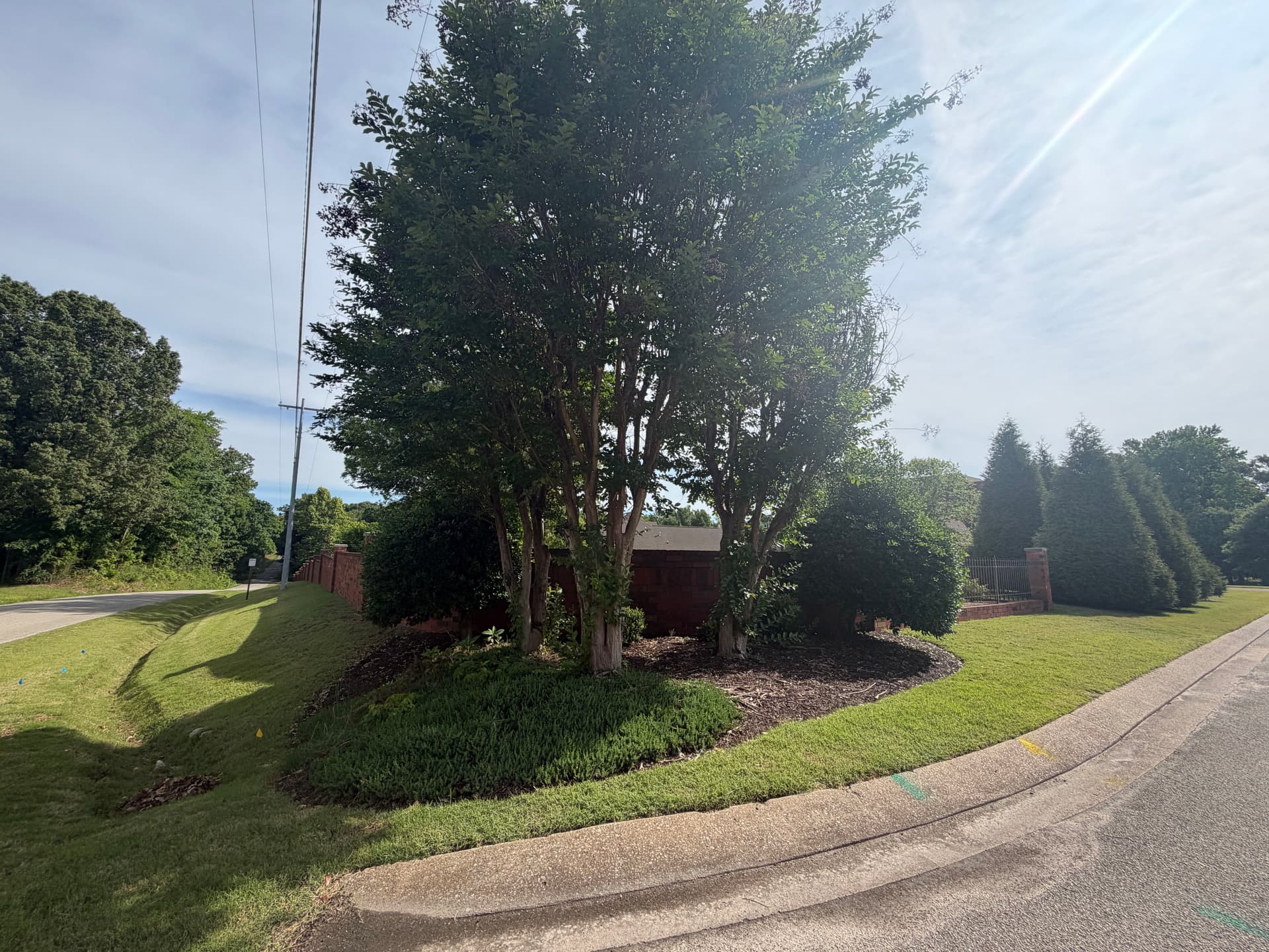 Gallery photos for Shrub Trimming and Landscape Cleanup at Forest Lake Subdivision in Humboldt: Image #3