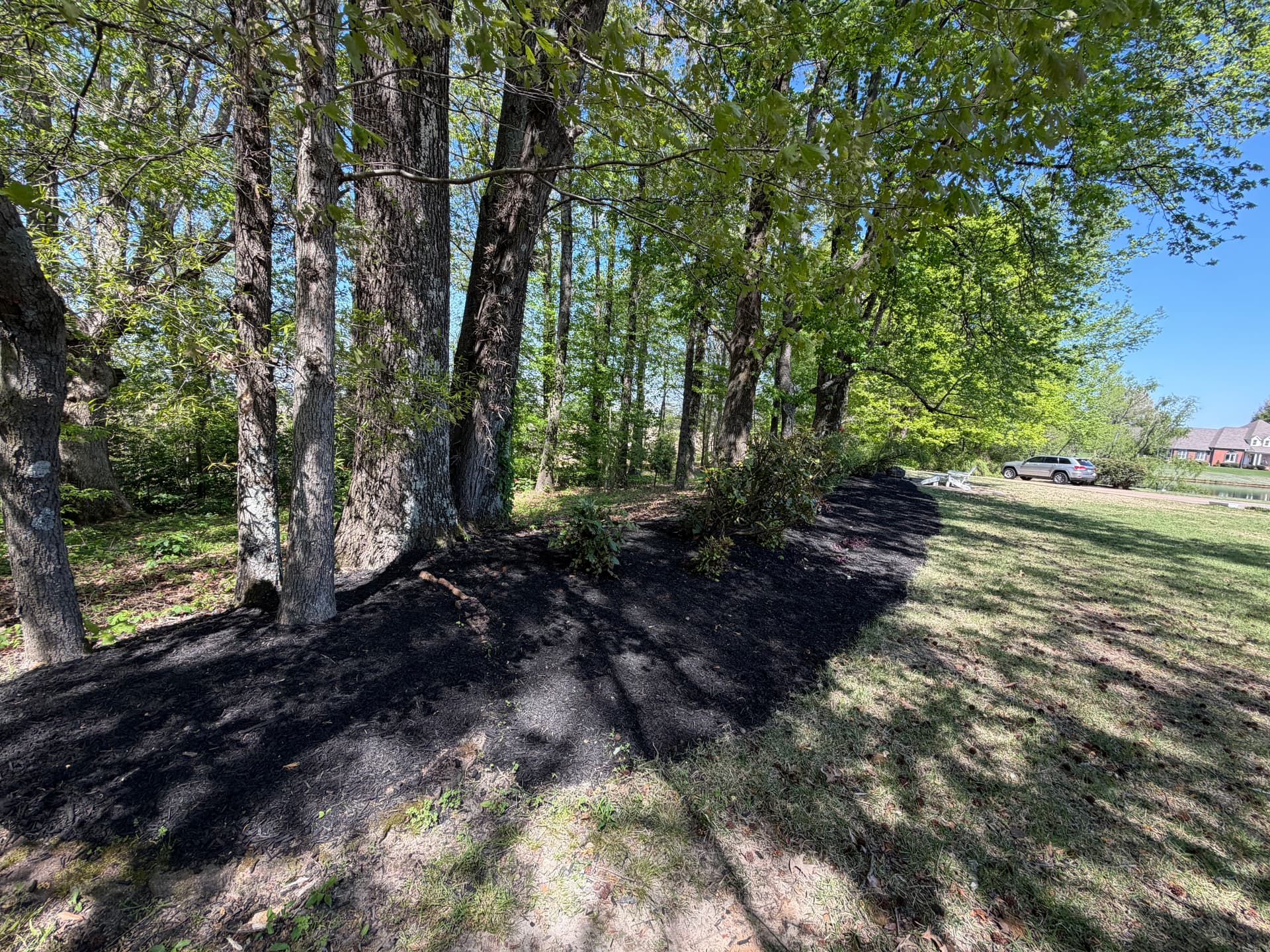 Gallery photos for Fresh Black Mulch Install That Ties the Whole Yard Together: Image #6