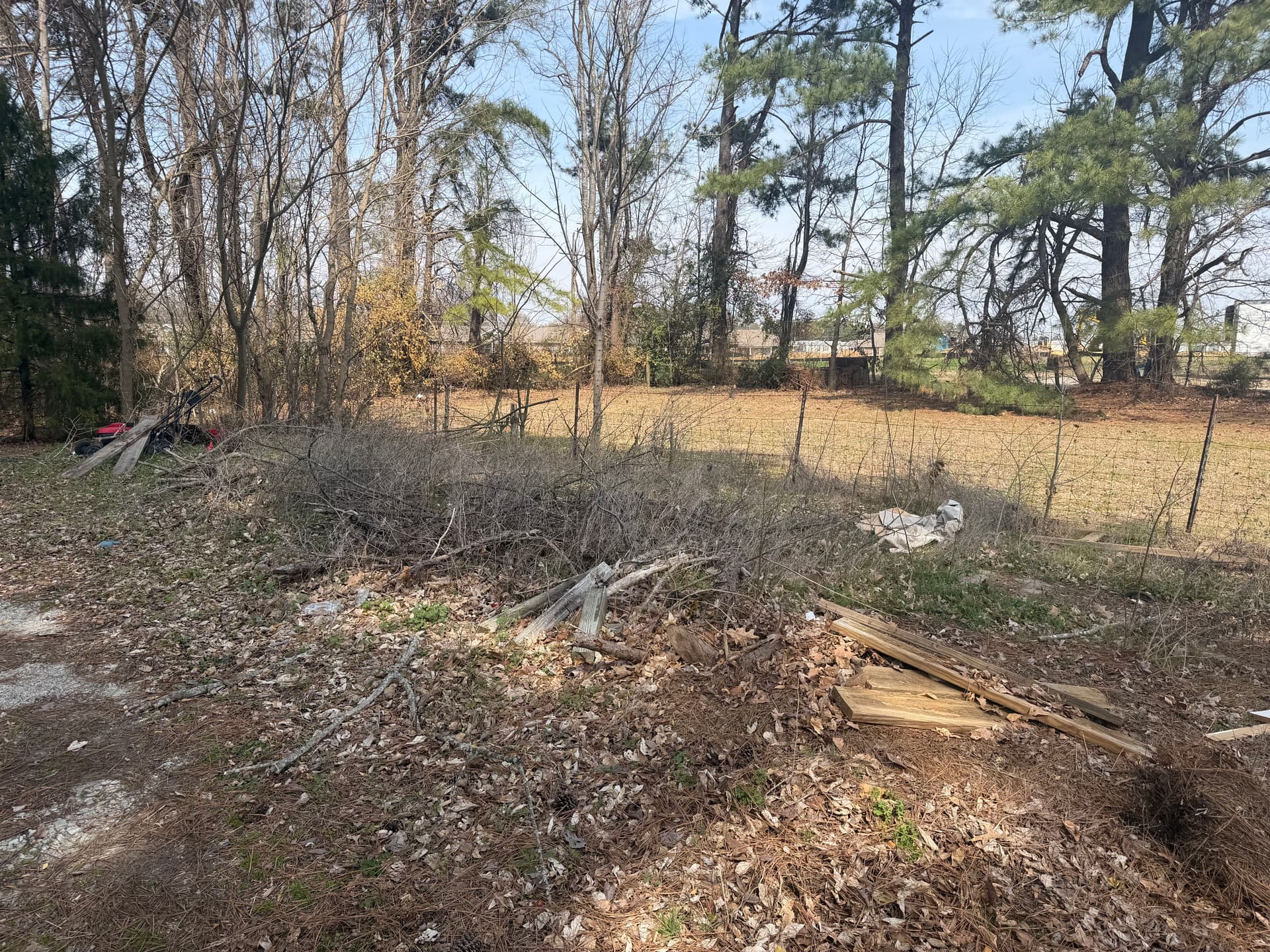 Gallery photos for Comprehensive Cleanup at Dr. Melton Family Dentistry: Image #6