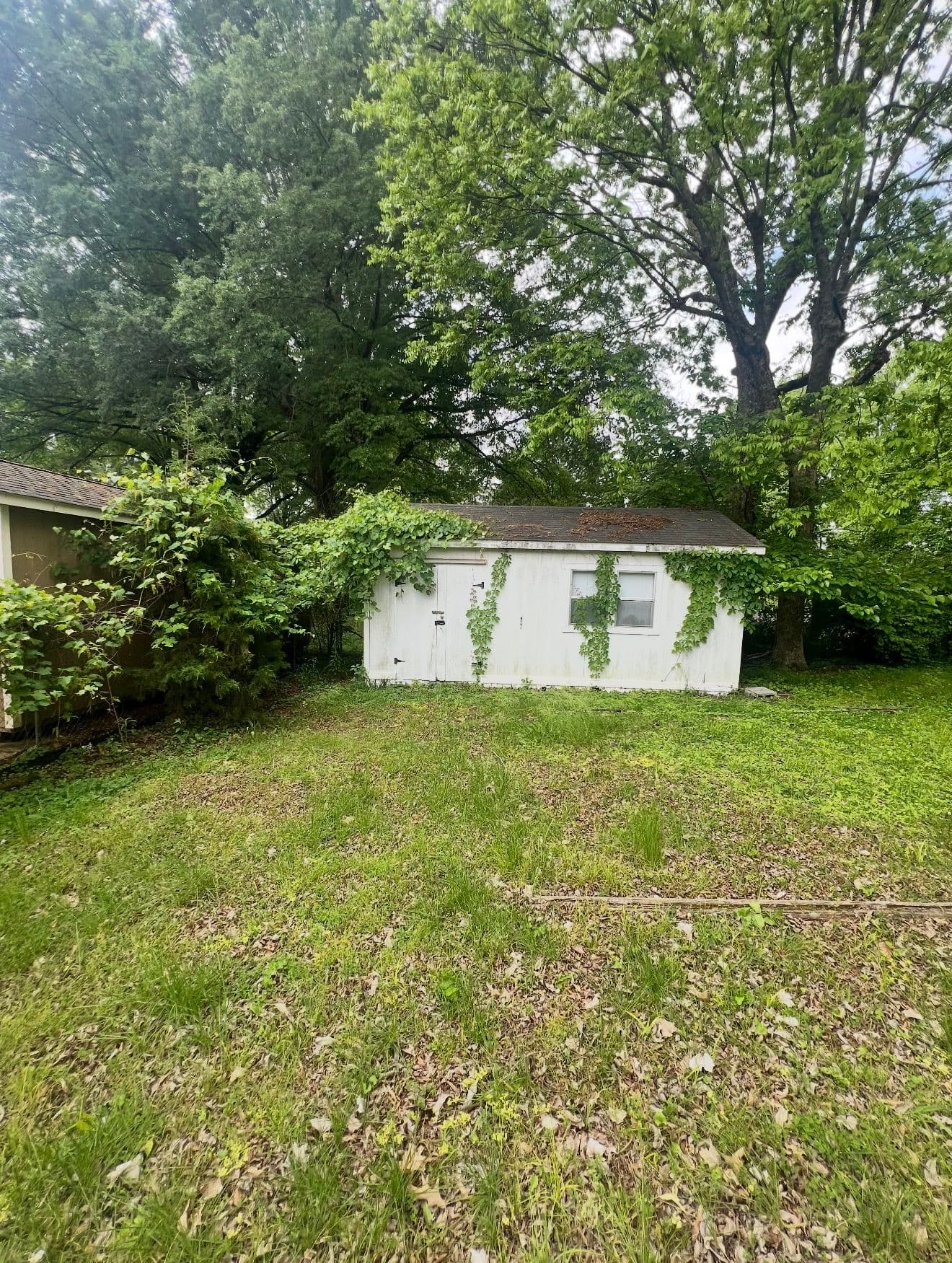 Gallery photos for Rental Property Landscape Cleanup in Milan: Image #7