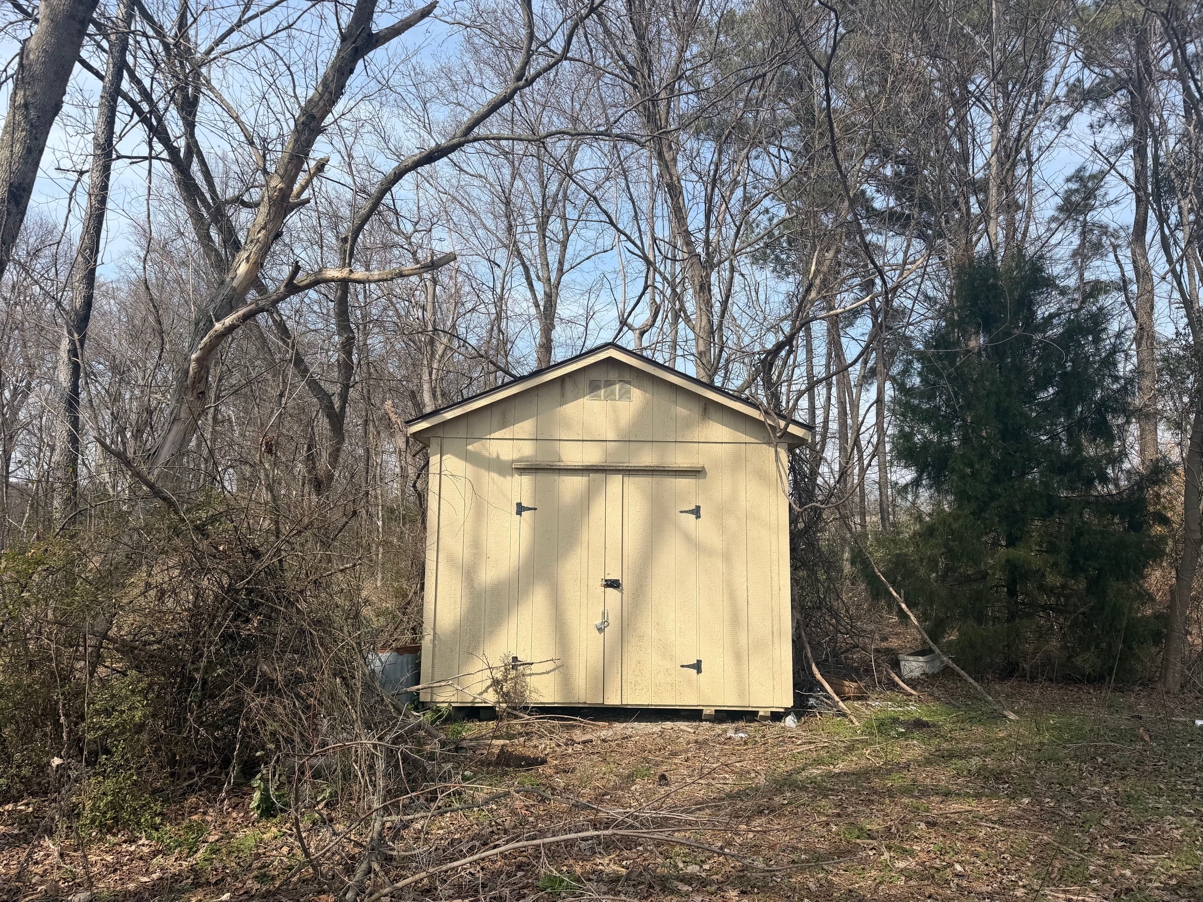 Project Comprehensive Cleanup at Dr. Melton Family Dentistry image
