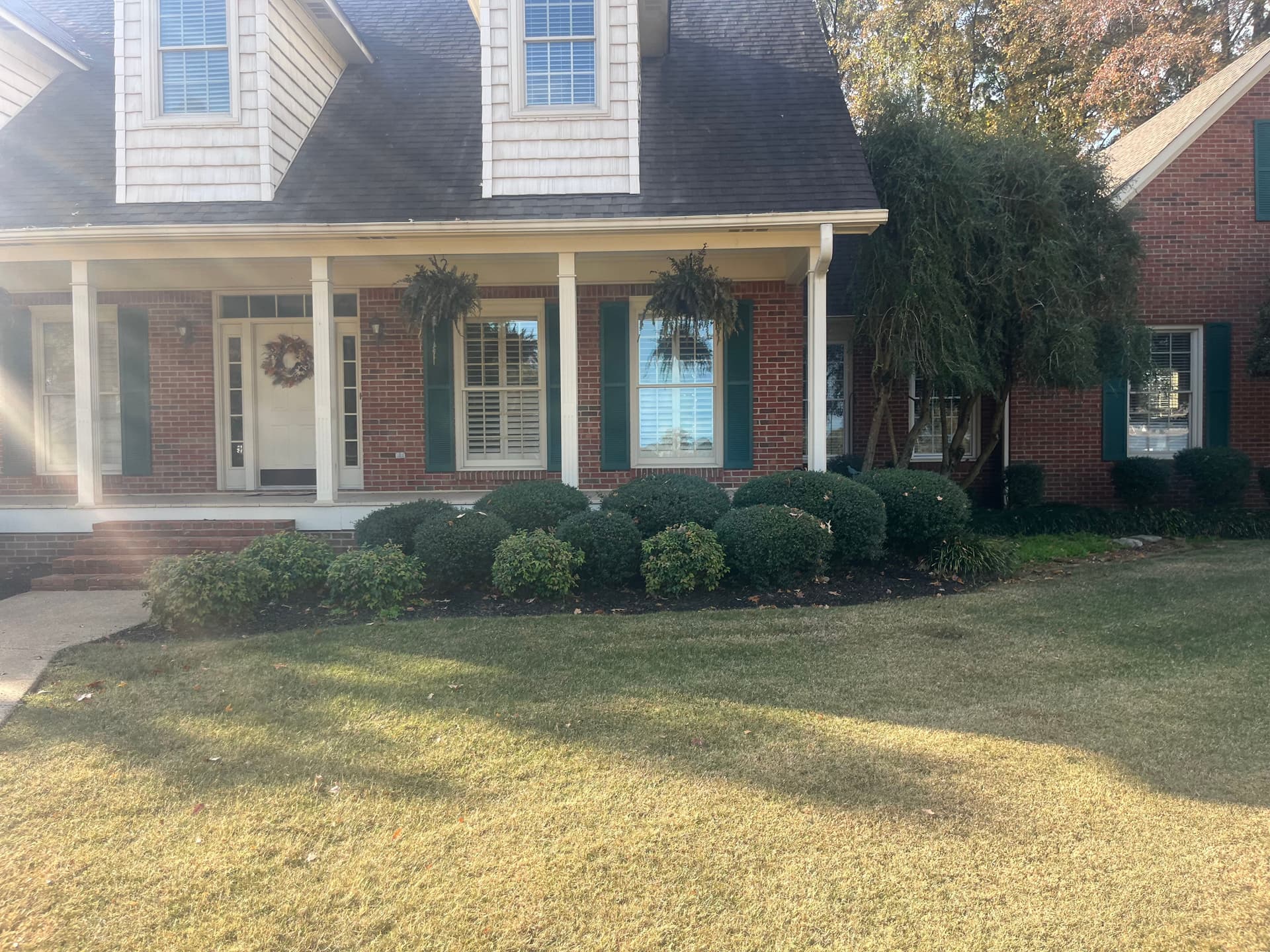 Revamping Curb Appeal with Expert Trimming and Landscape Design