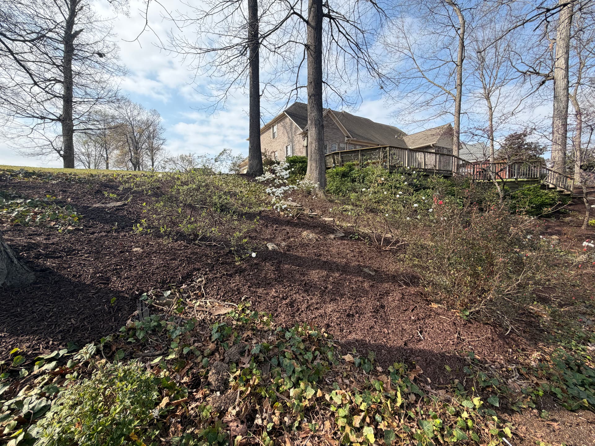 Gallery photos for Backyard Makeover at Forest Lake: Image #8