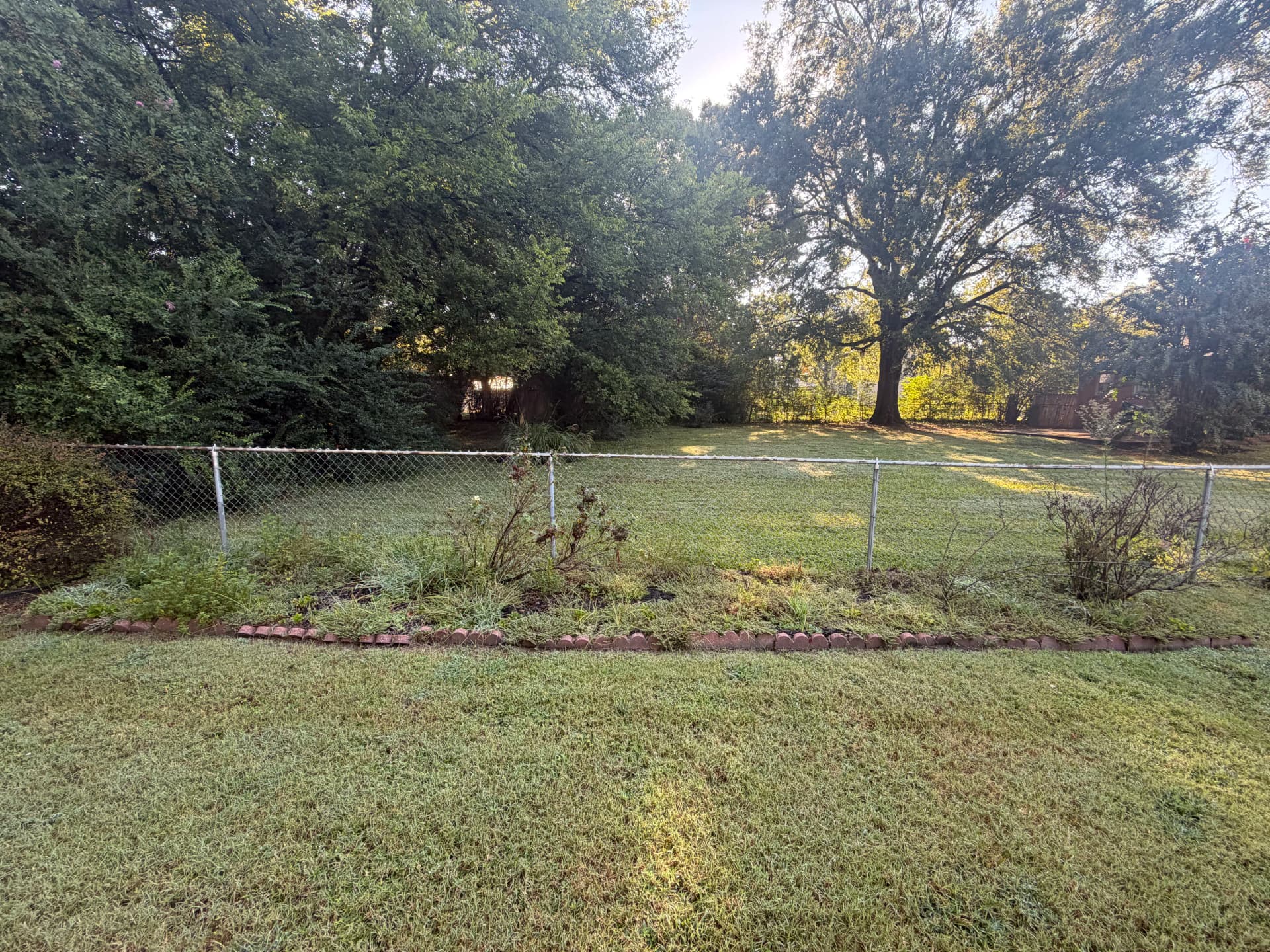 Gallery photos for Black Mulch and Bed Cleanups That Actually Change the Look: Image #2