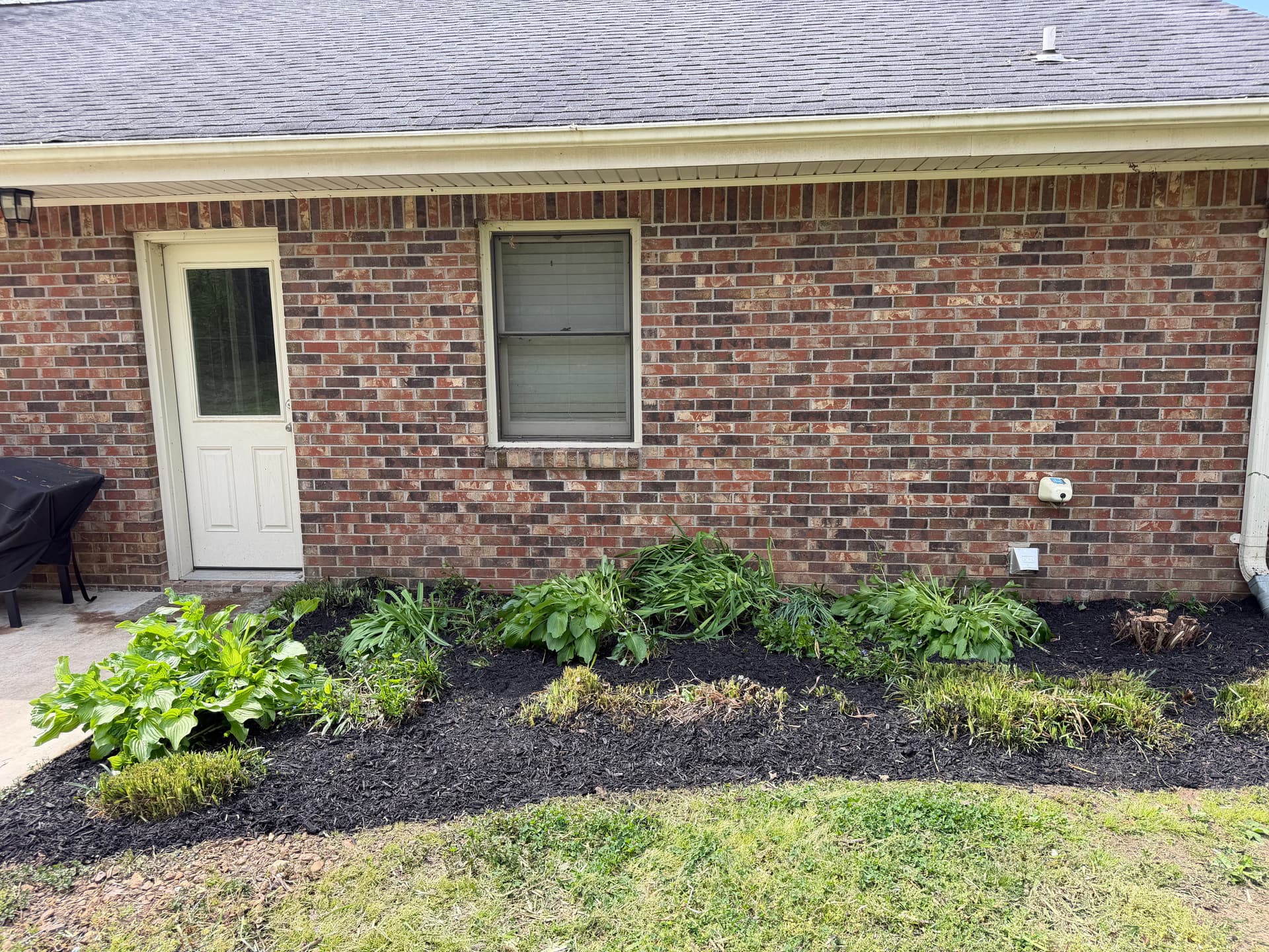 Gallery photos for Flower Bed Clean Up and Fresh Black Mulch in Trenton: Image #9