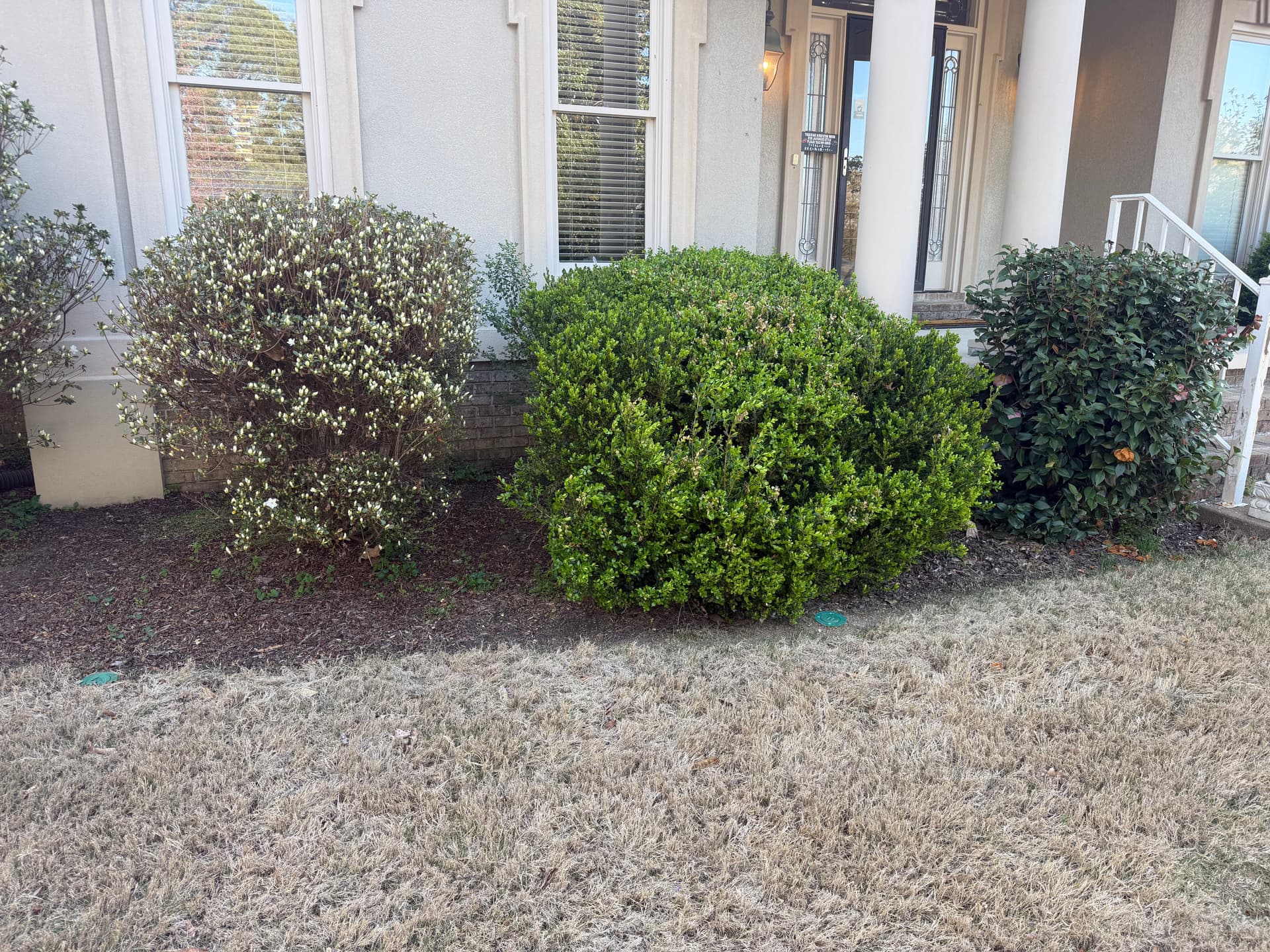 Gallery photos for Landscape Clean Up with Mulch Installation in Humboldt: Image #2