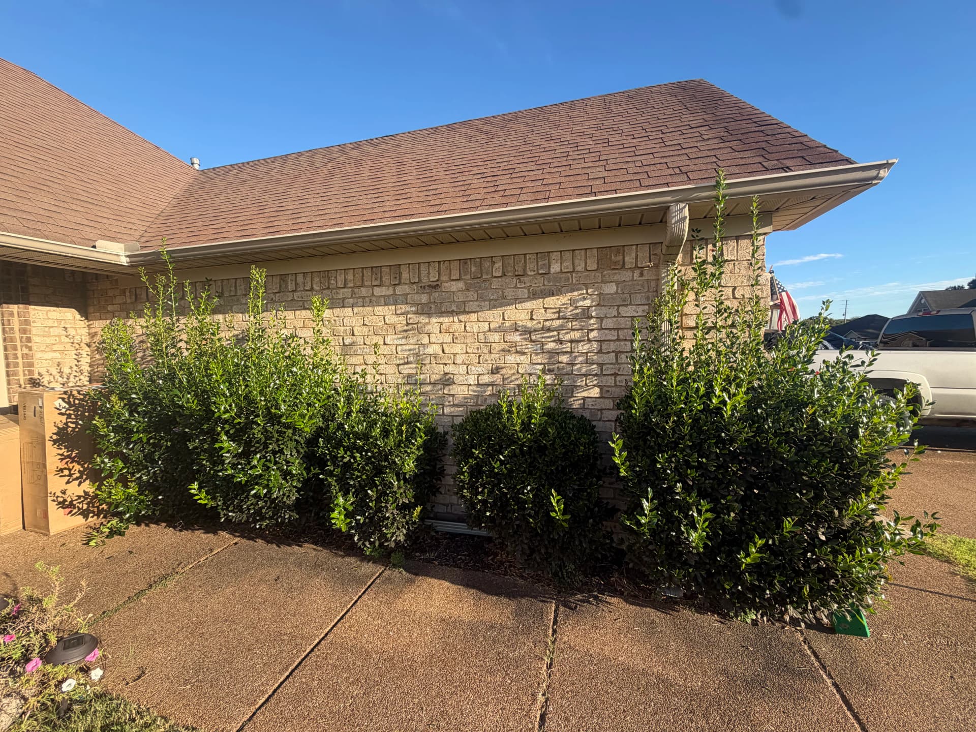 Shrub Trimming in Threeway That Actually Made a Difference image
