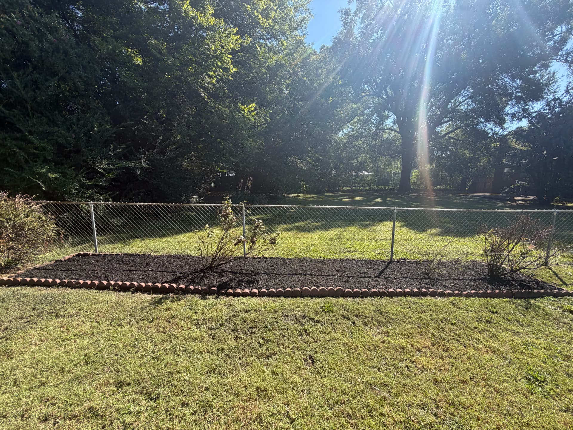 Gallery photos for Black Mulch and Bed Cleanups That Actually Change the Look: Image #3