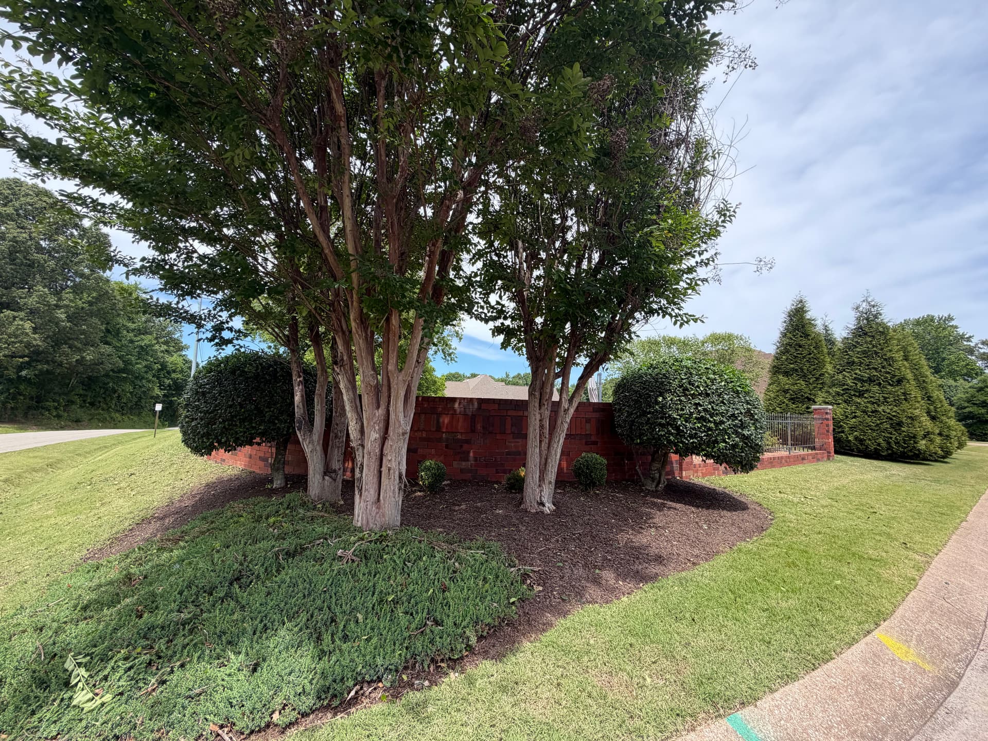 Gallery photos for Shrub Trimming and Landscape Cleanup at Forest Lake Subdivision in Humboldt: Image #4