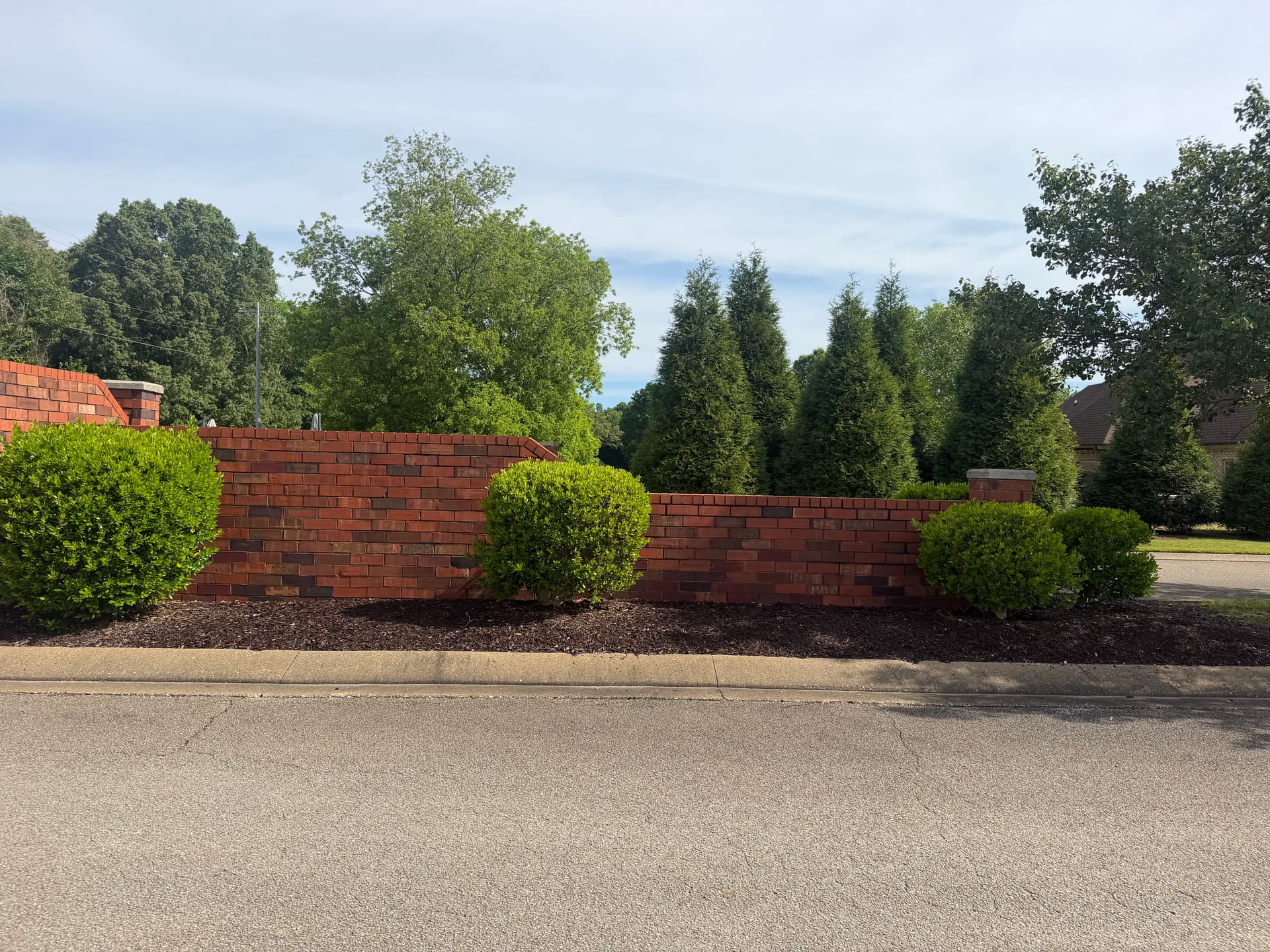 Gallery photos for Shrub Trimming and Landscape Cleanup at Forest Lake Subdivision in Humboldt: Image #7