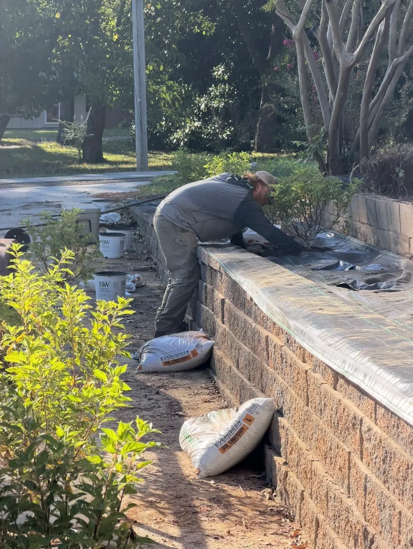 Gallery photos for Hydrangeas, Fresh Mulch, and Retaining Wall Lights in Friendship: Image #3