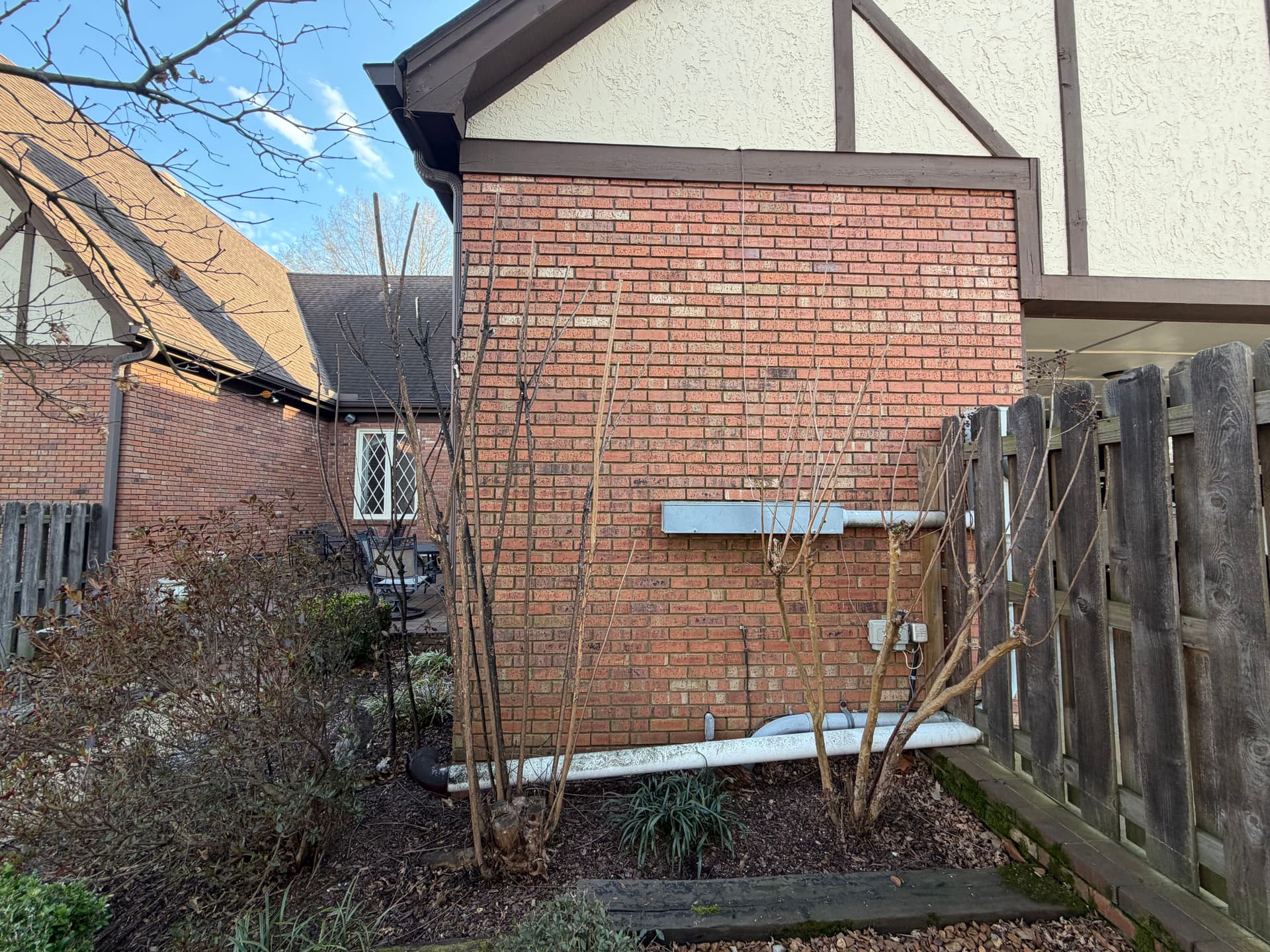 Gallery photos for Precision Crepe Myrtle Trimming for a Pristine Look: Image #9