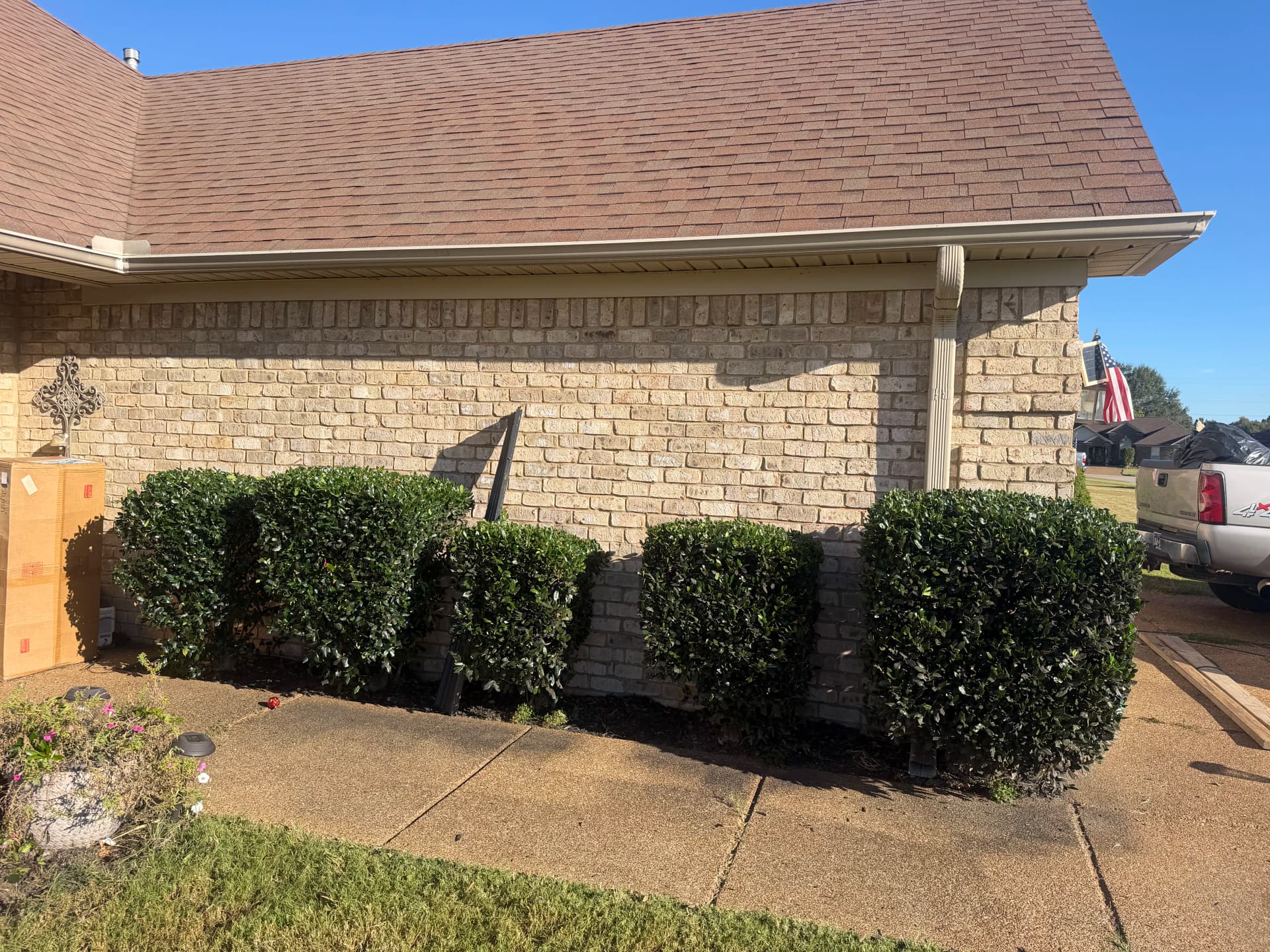 Gallery photos for Shrub Trimming in Threeway That Actually Made a Difference: Image #1