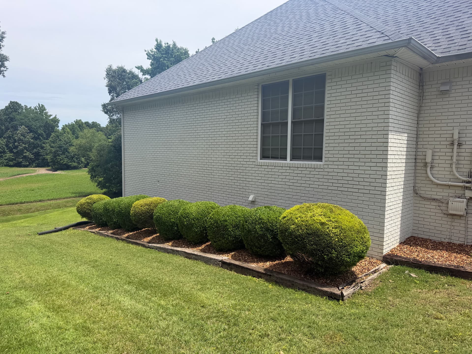 Gallery photos for Shrub Trimming Done Right in Milan TN: Image #1