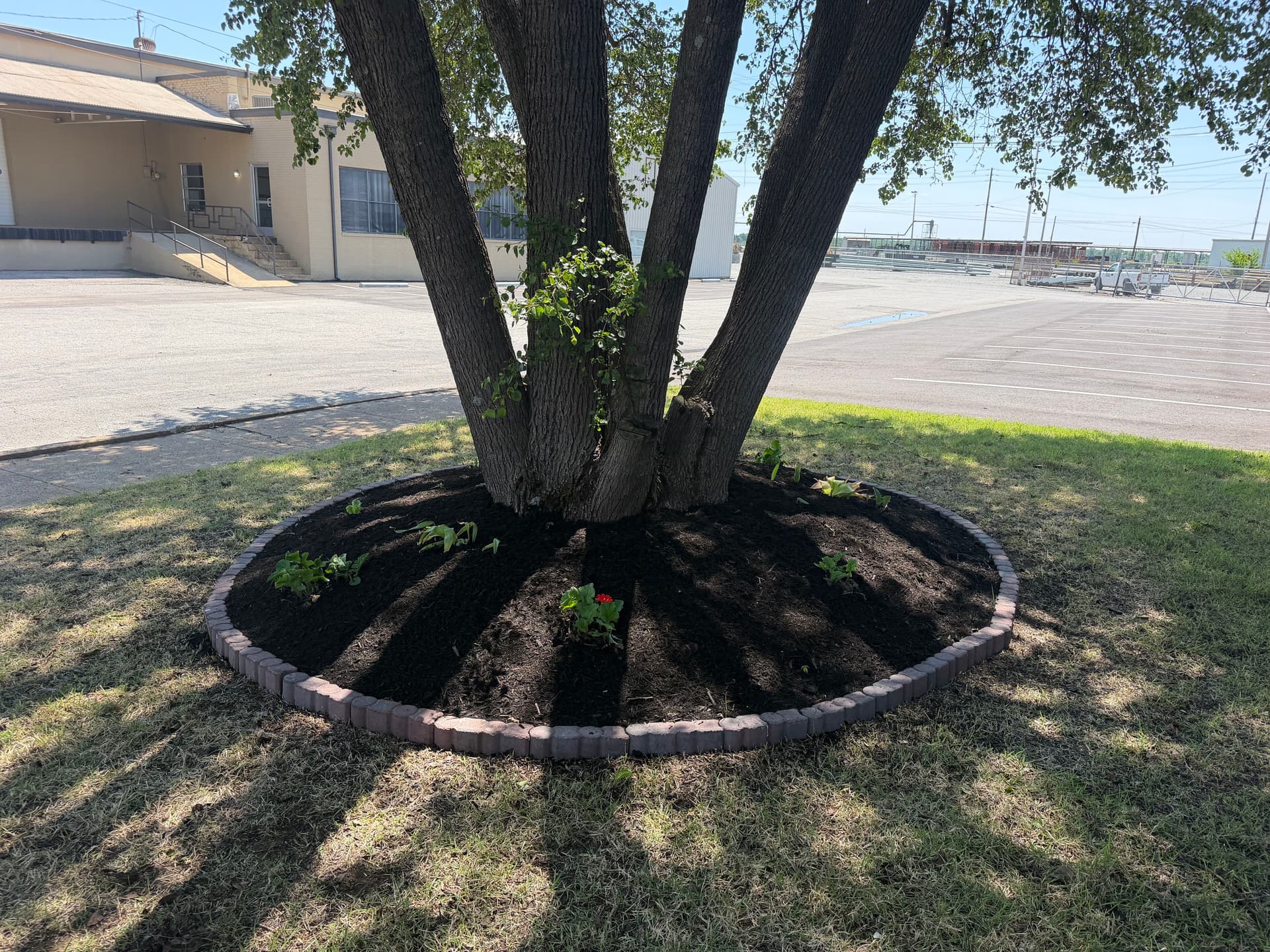 Gallery photos for Landscape Clean Up and Mulch Install at Humboldt Utilities: Image #2