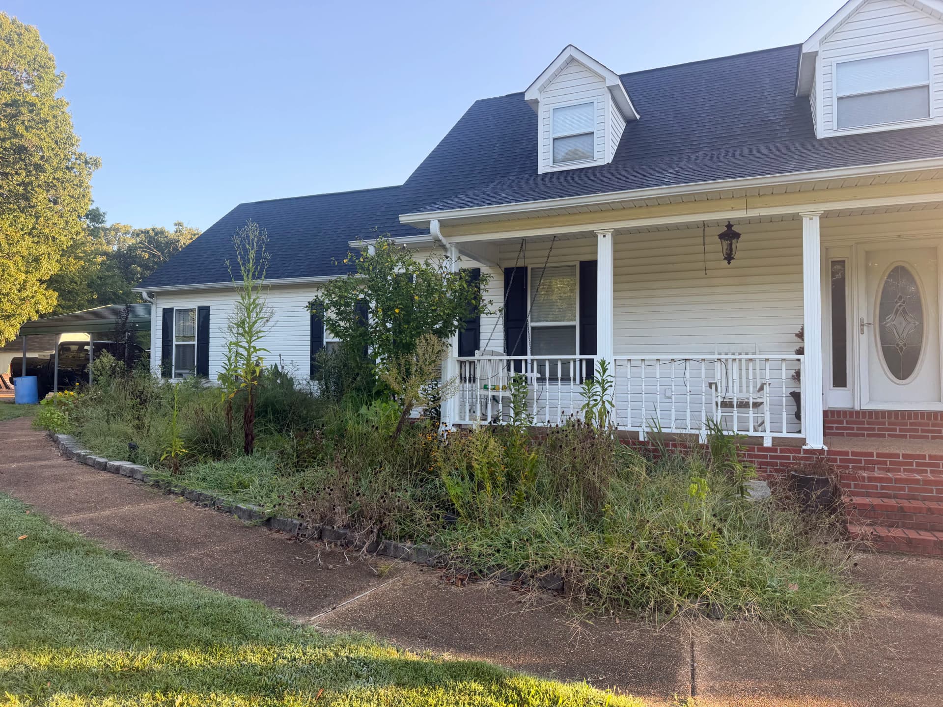 Gallery photos for Overgrown Flowerbeds Cleaned Out and Ready for a Fresh Design: Image #2