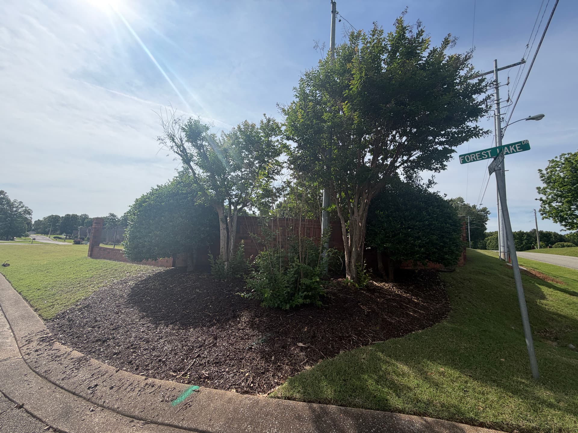 Gallery photos for Shrub Trimming and Landscape Cleanup at Forest Lake Subdivision in Humboldt: Image #1