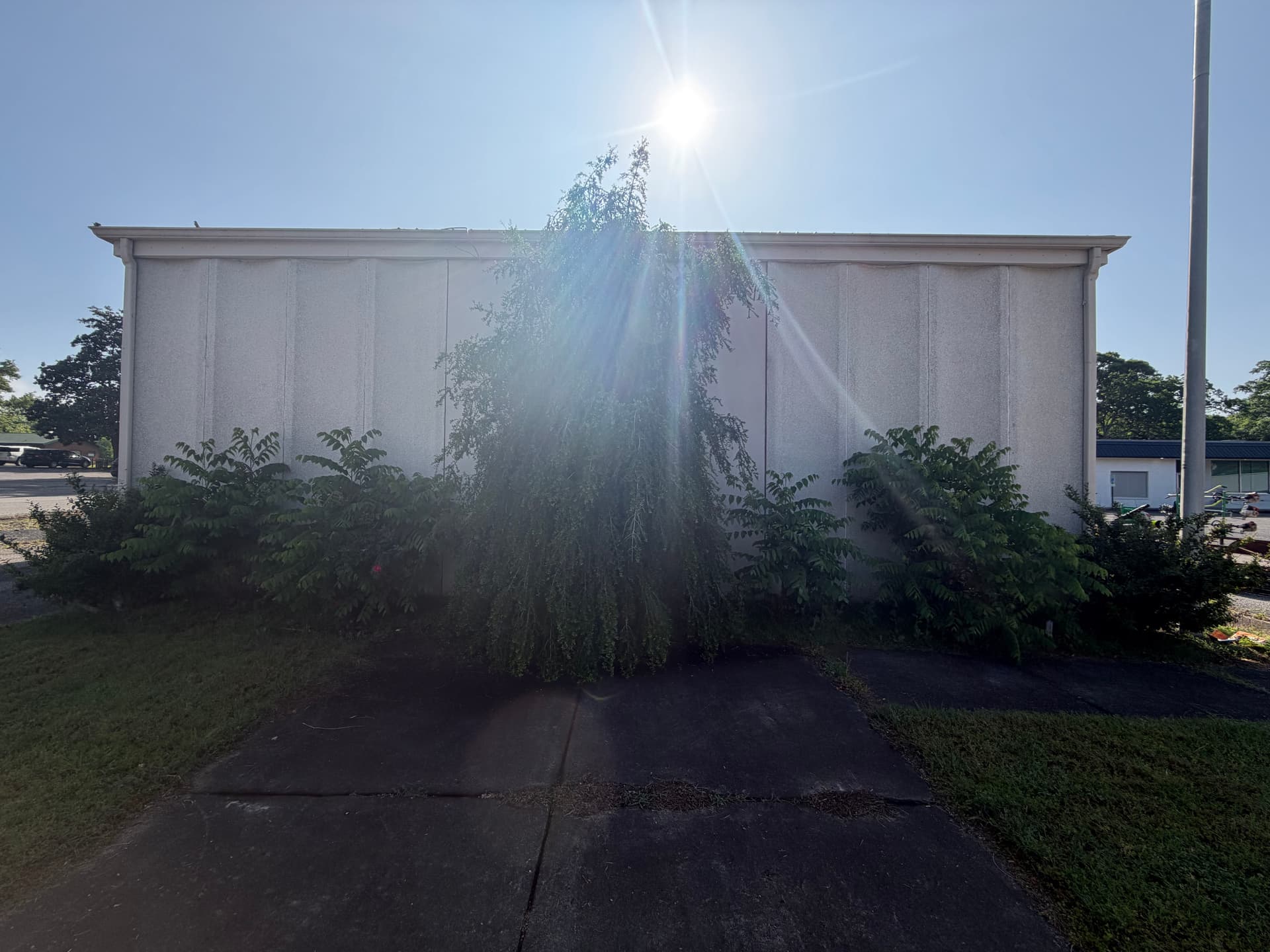 Vacant Bank Gets a Full Landscape Cleanup in Humboldt image