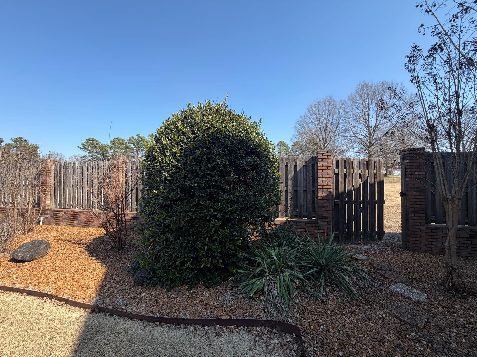 Gallery photos for Expert Tree and Shrub Trimming Service: Image #2