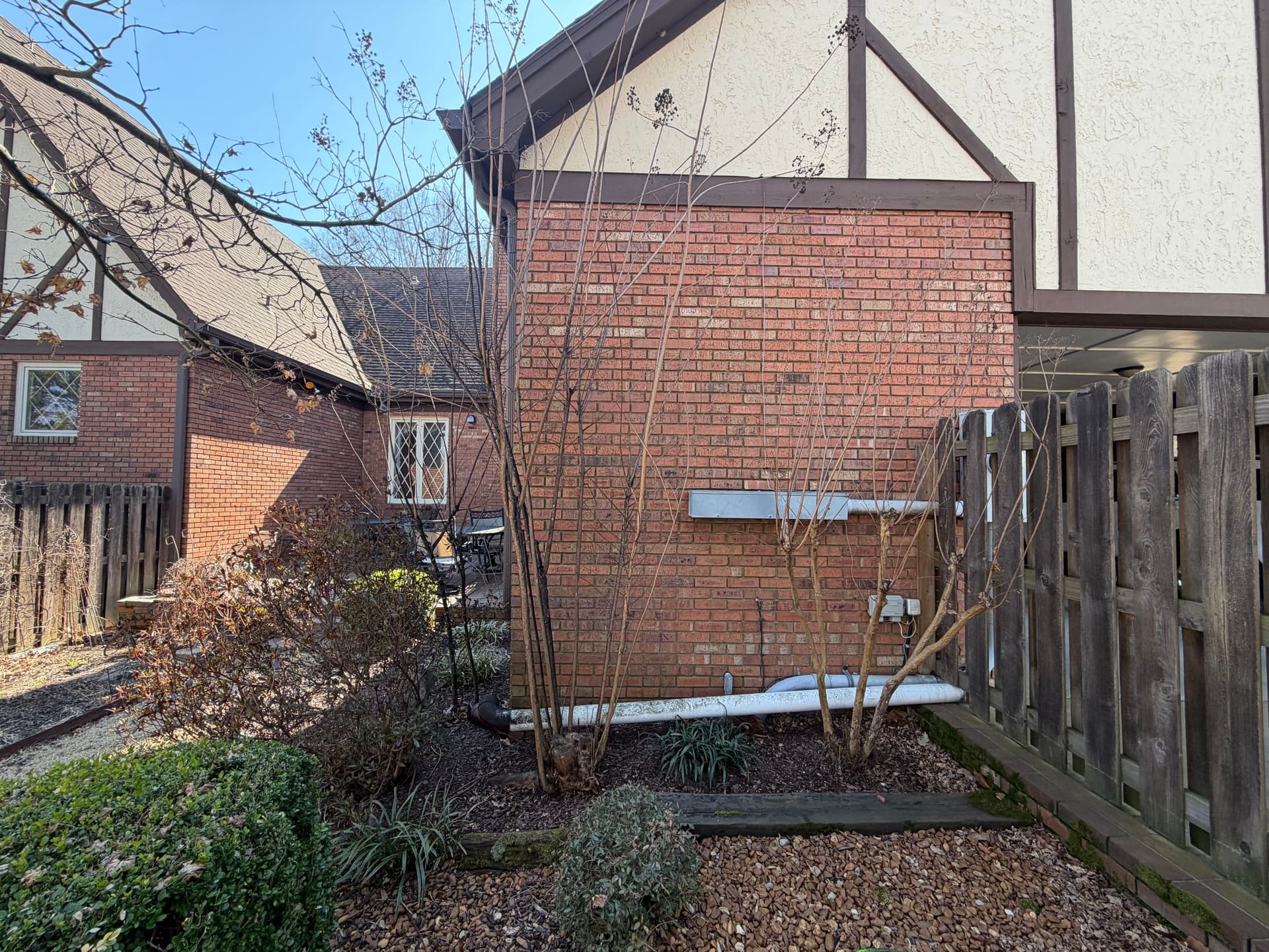 Gallery photos for Precision Crepe Myrtle Trimming for a Pristine Look: Image #8