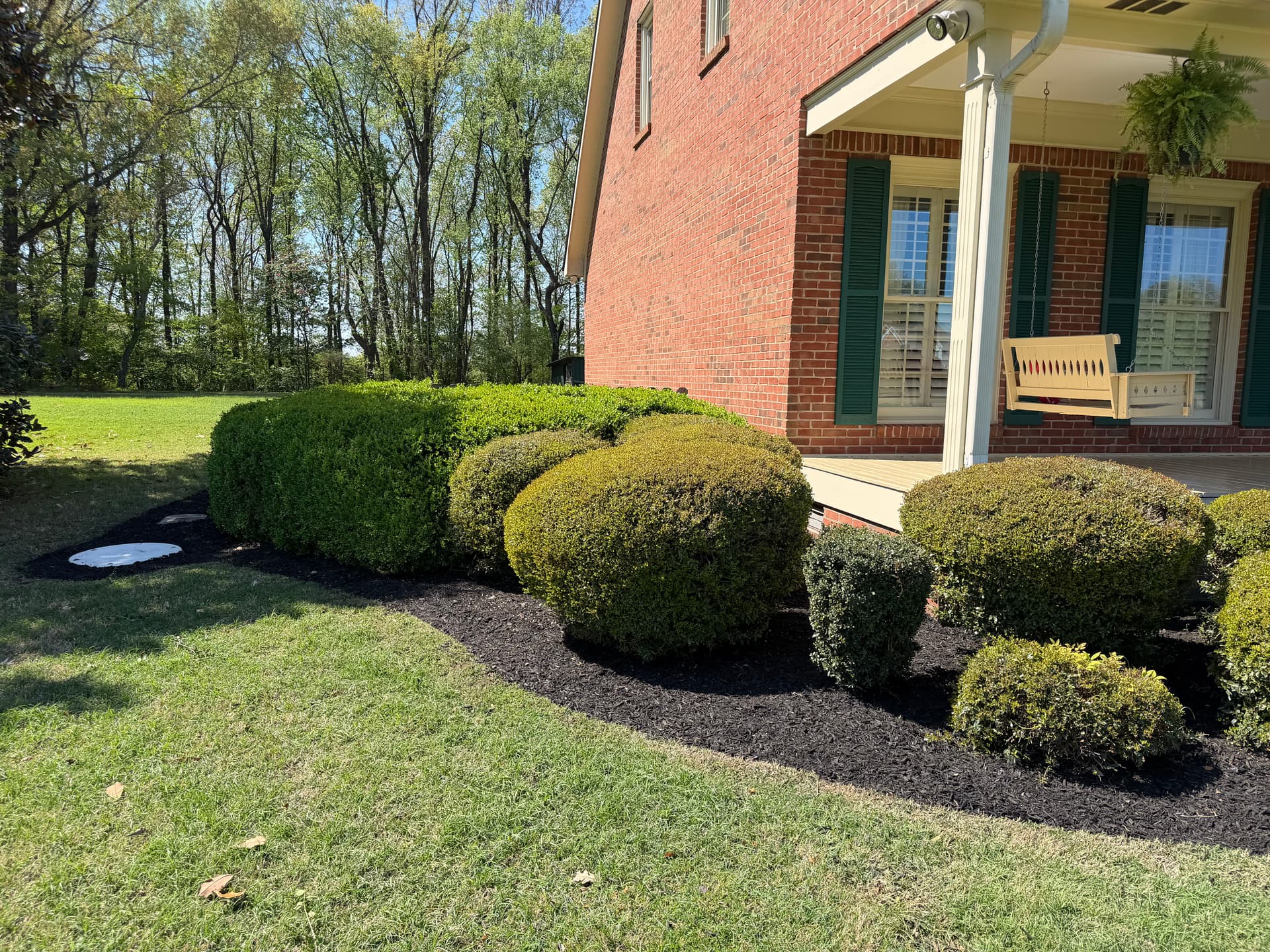 Gallery photos for Fresh Black Mulch Install That Ties the Whole Yard Together: Image #3
