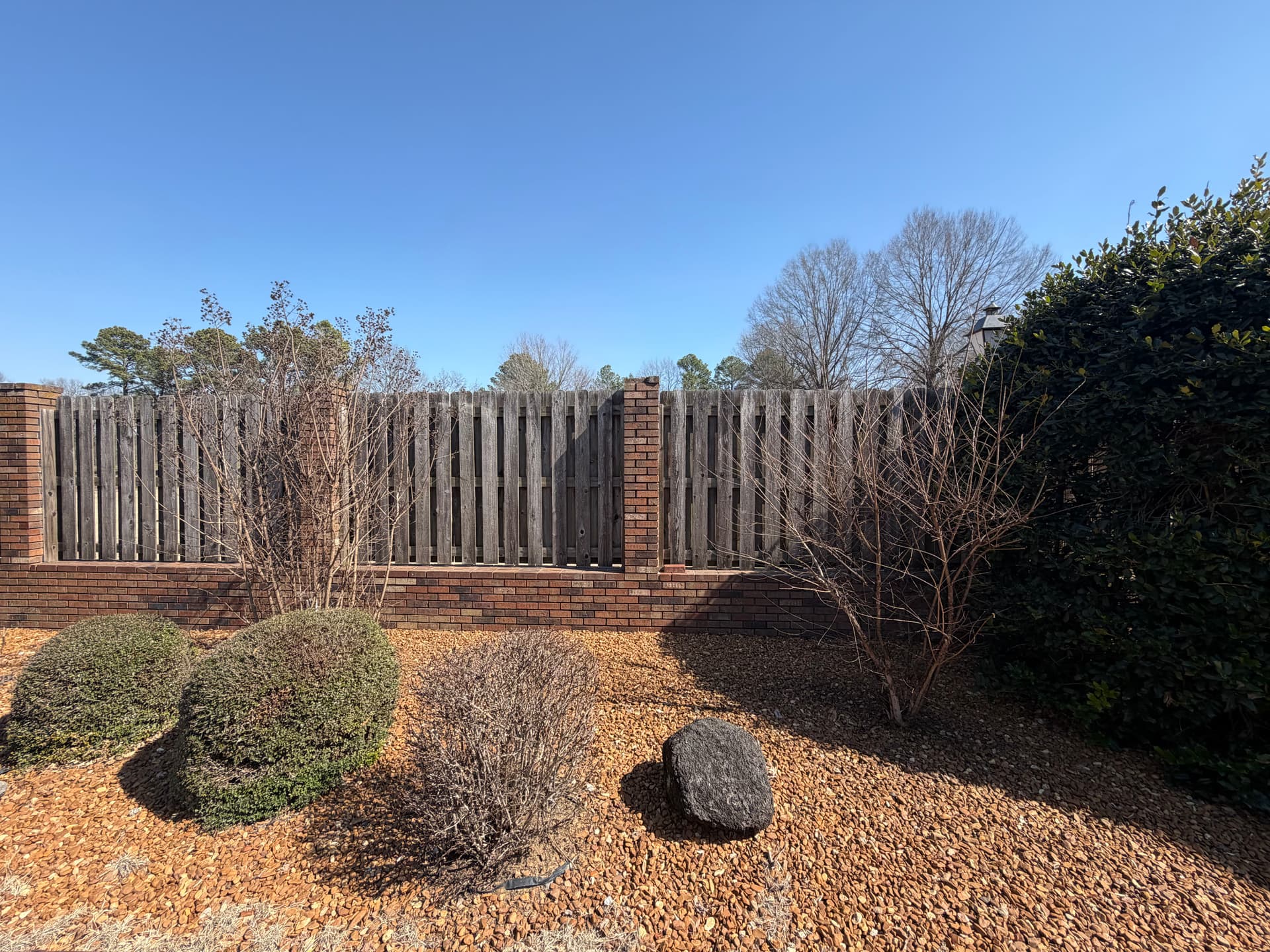 Precision Crepe Myrtle Trimming for a Pristine Look