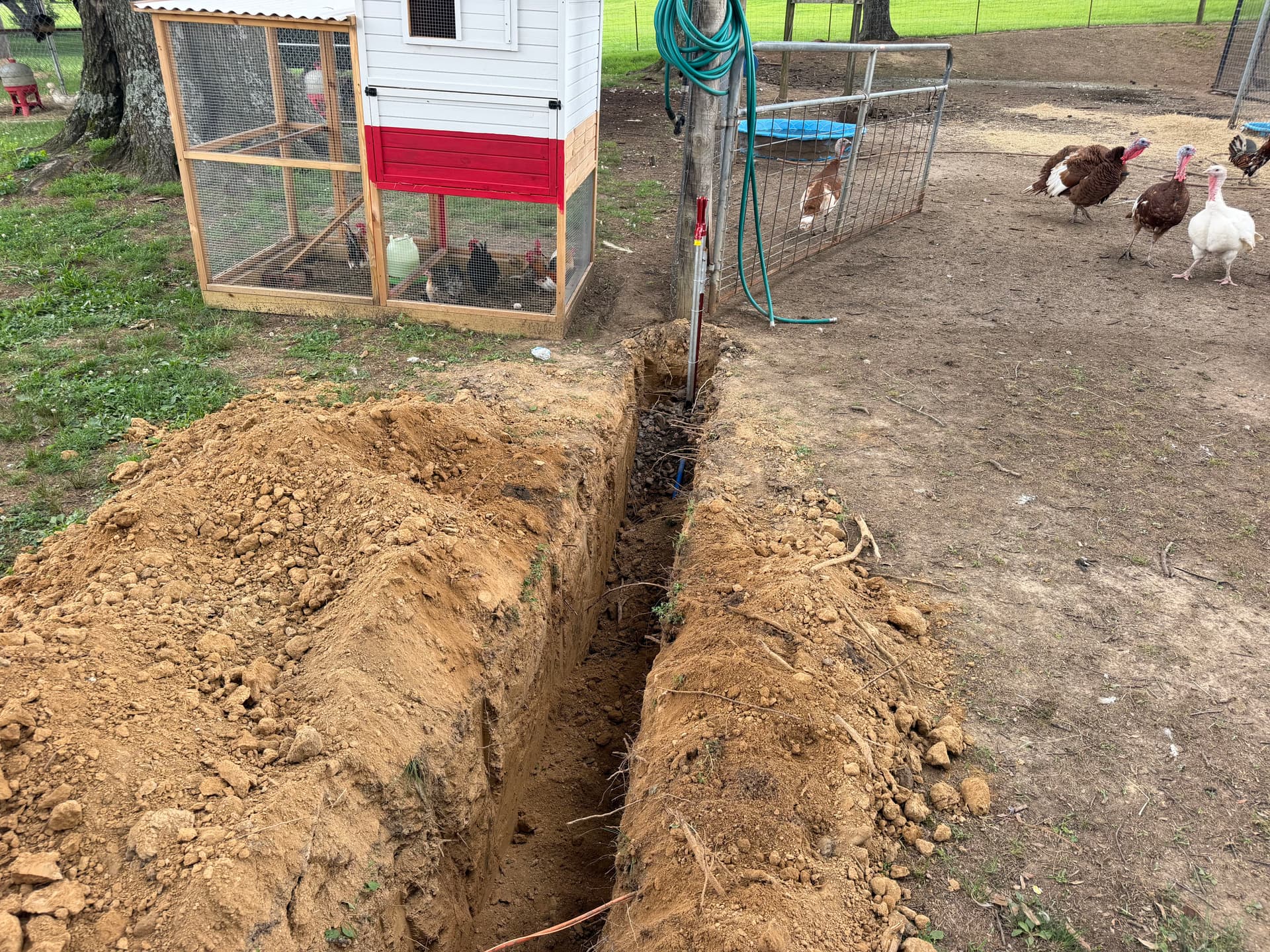 Gallery photos for 60-Foot Water Line and Dual Yard Hydrant Install in Trenton: Image #1
