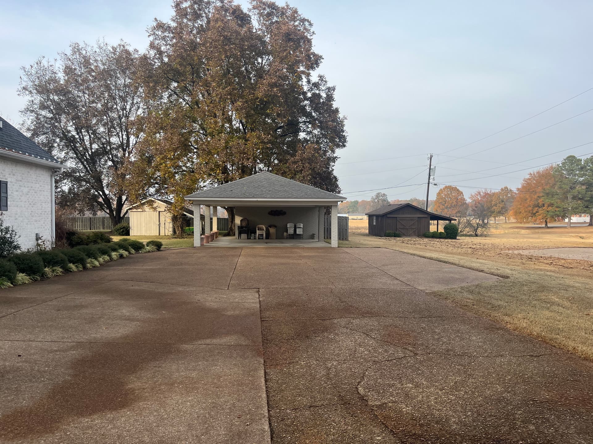 Comprehensive Fall Cleanup for a Leaf-Free Yard