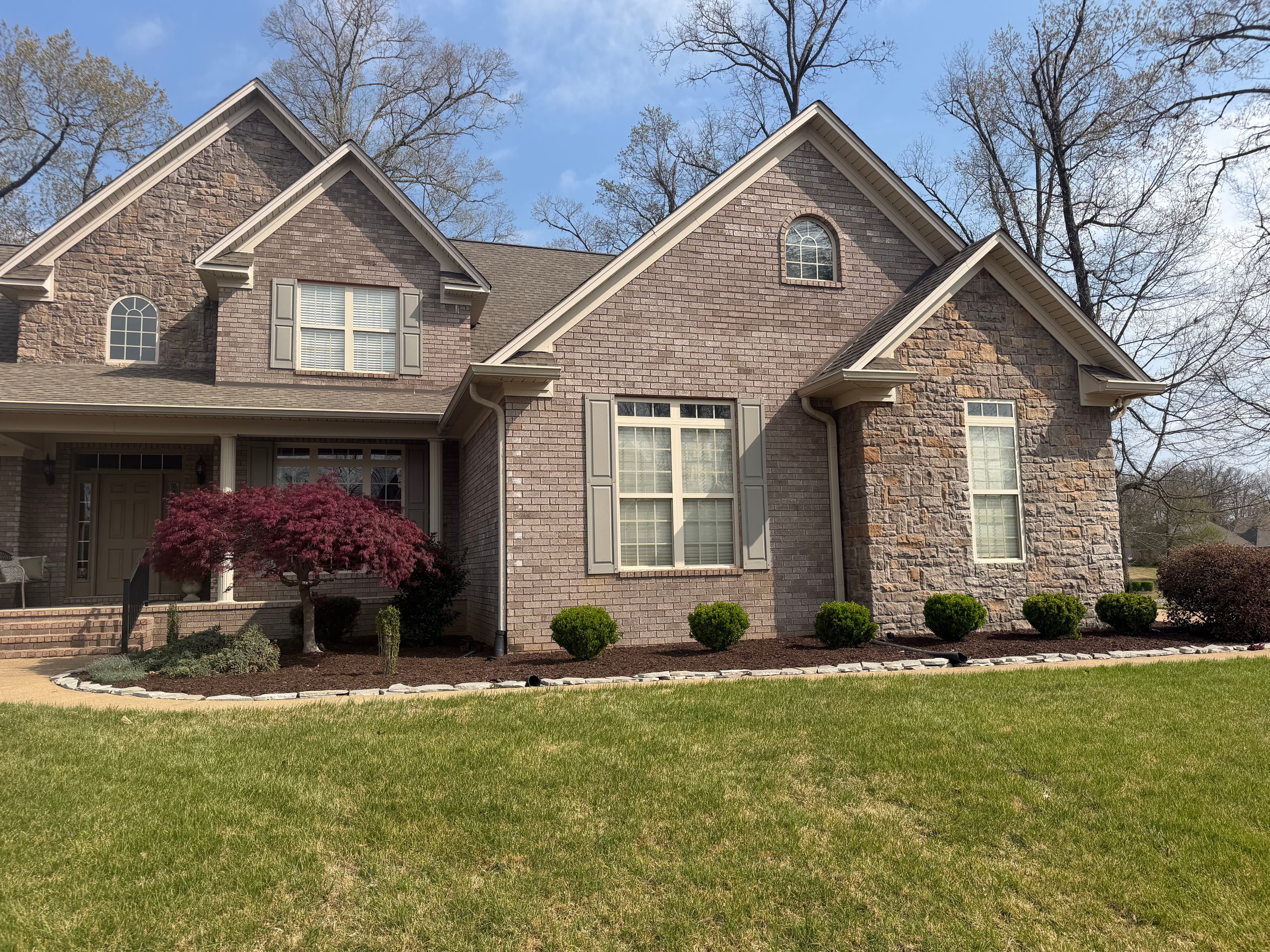 Project Backyard Makeover at Forest Lake image