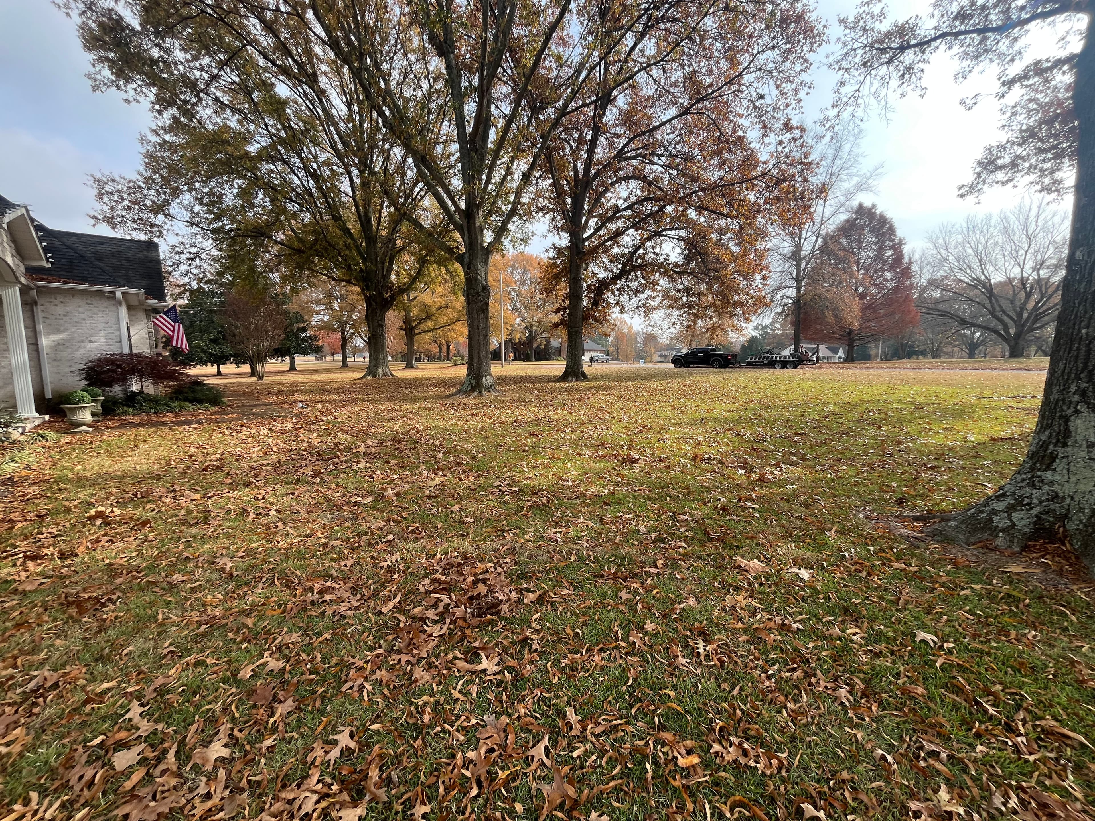 Project Comprehensive Fall Cleanup for a Leaf-Free Yard image